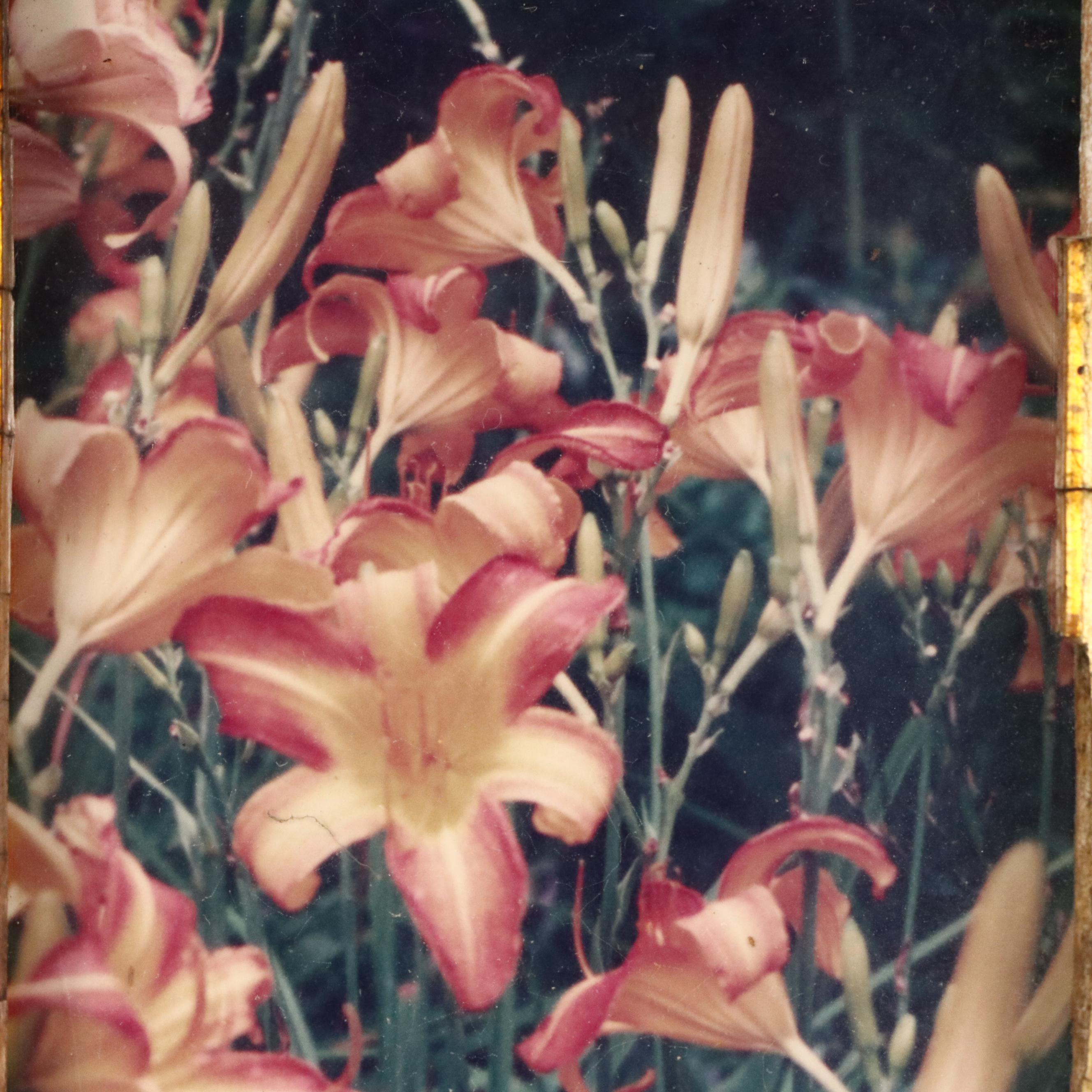 Wooden Tramp Art Frame with Floral Photographs, Late 19th to Early 20th Century