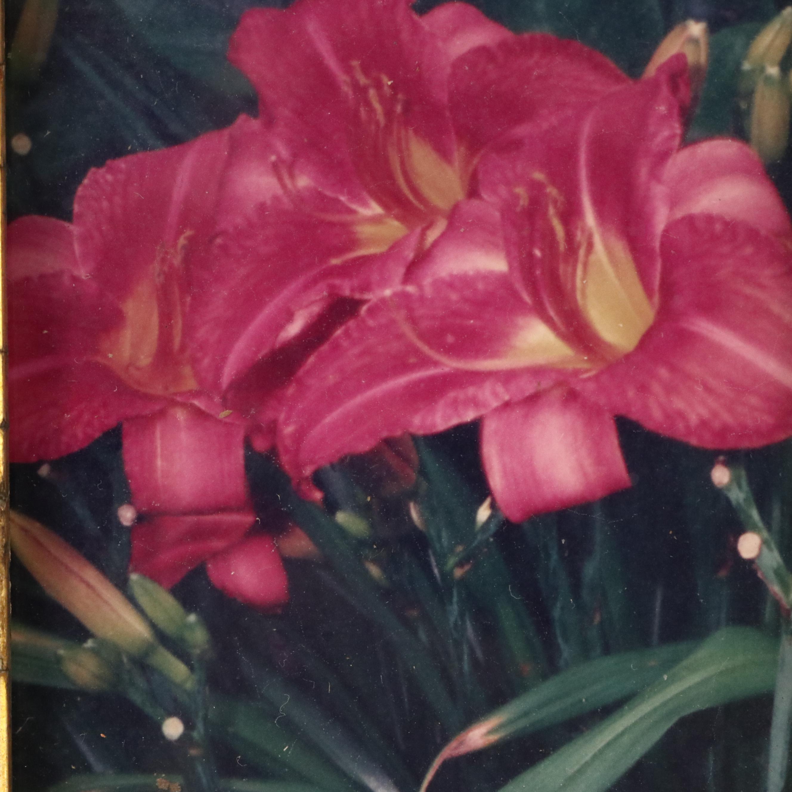 Wooden Tramp Art Frame with Floral Photographs, Late 19th to Early 20th Century