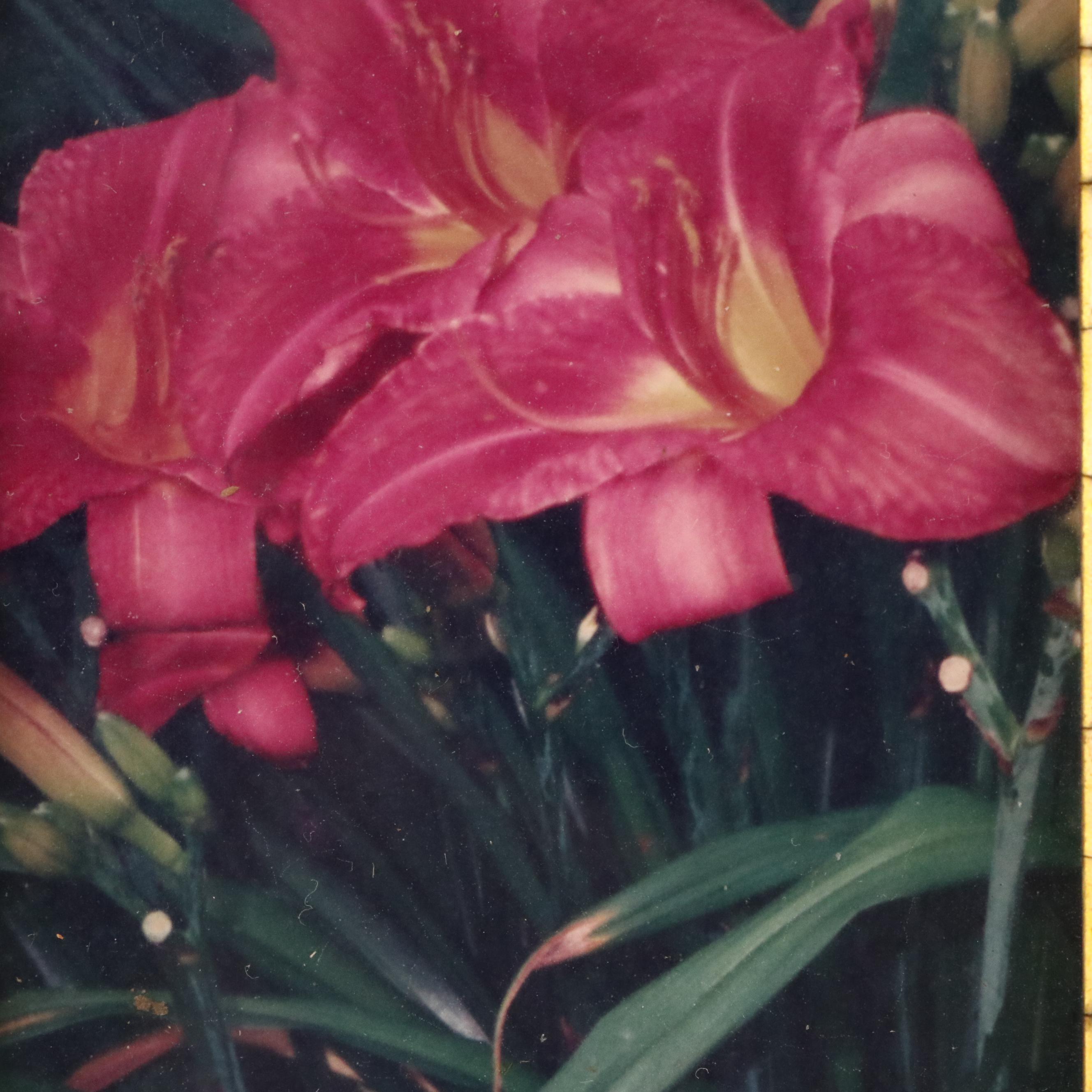 Wooden Tramp Art Frame with Floral Photographs, Late 19th to Early 20th Century