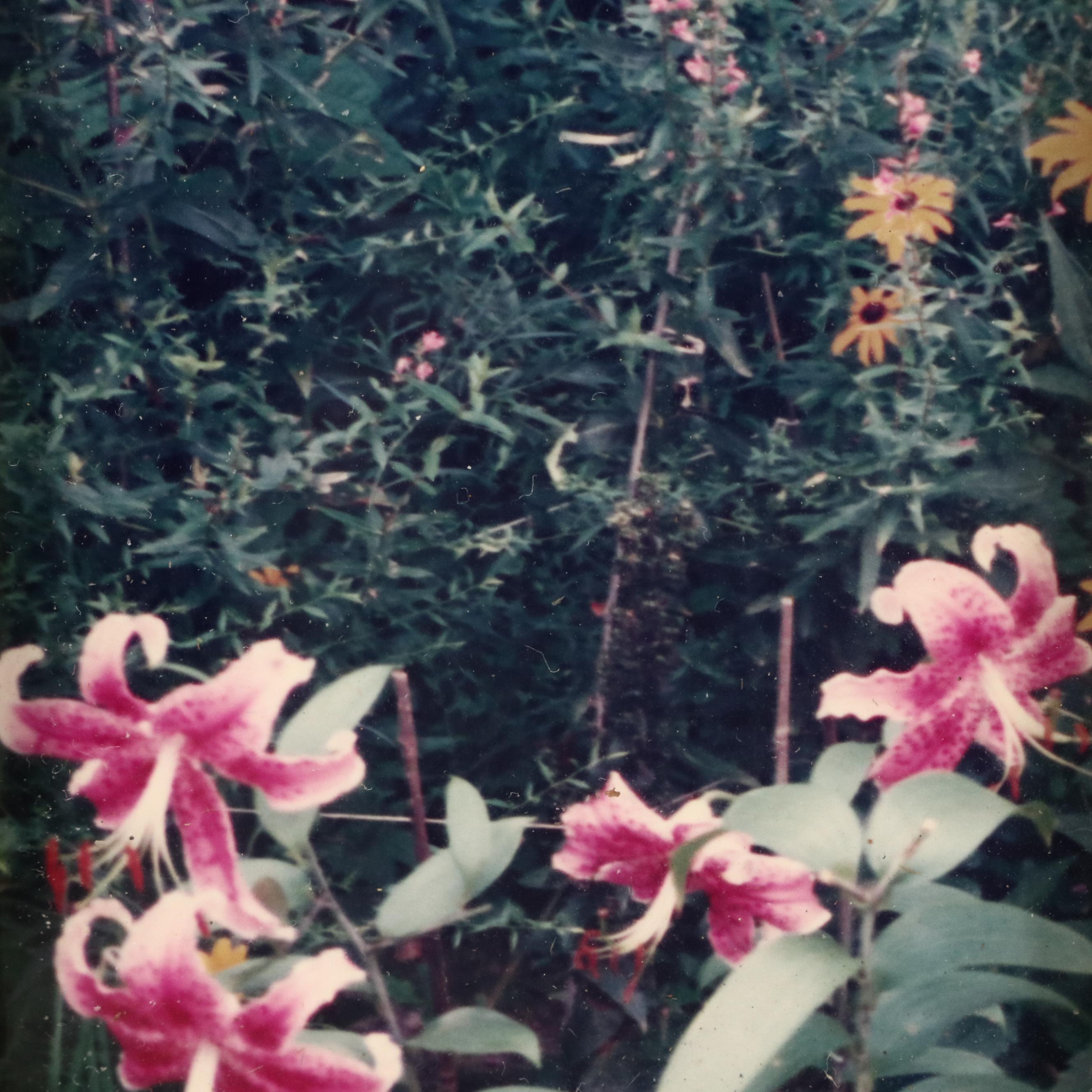 Wooden Tramp Art Frame with Floral Photographs, Late 19th to Early 20th Century