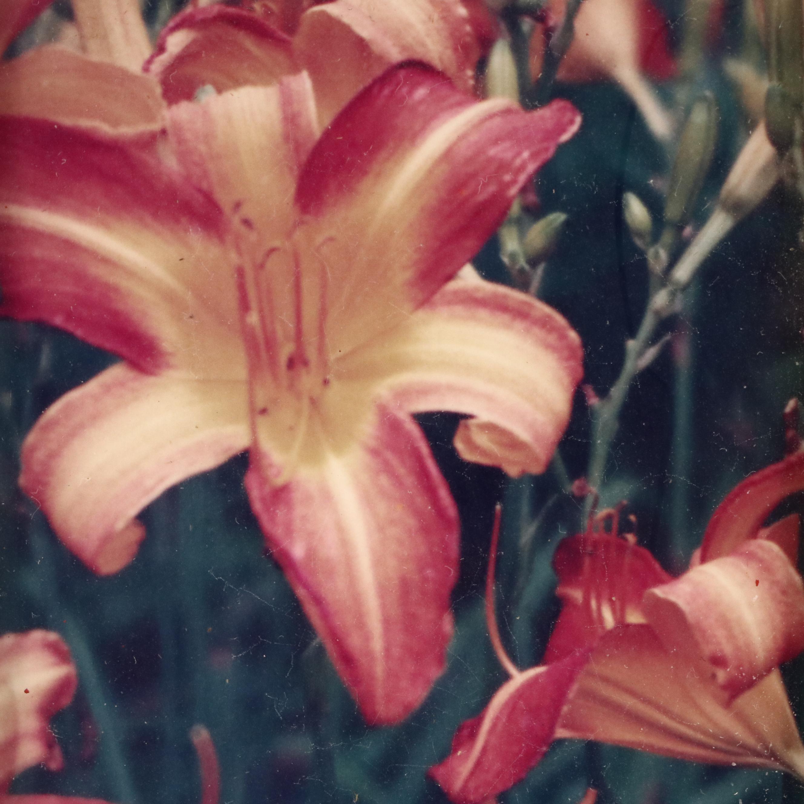 Wooden Tramp Art Frame with Floral Photographs, Late 19th to Early 20th Century