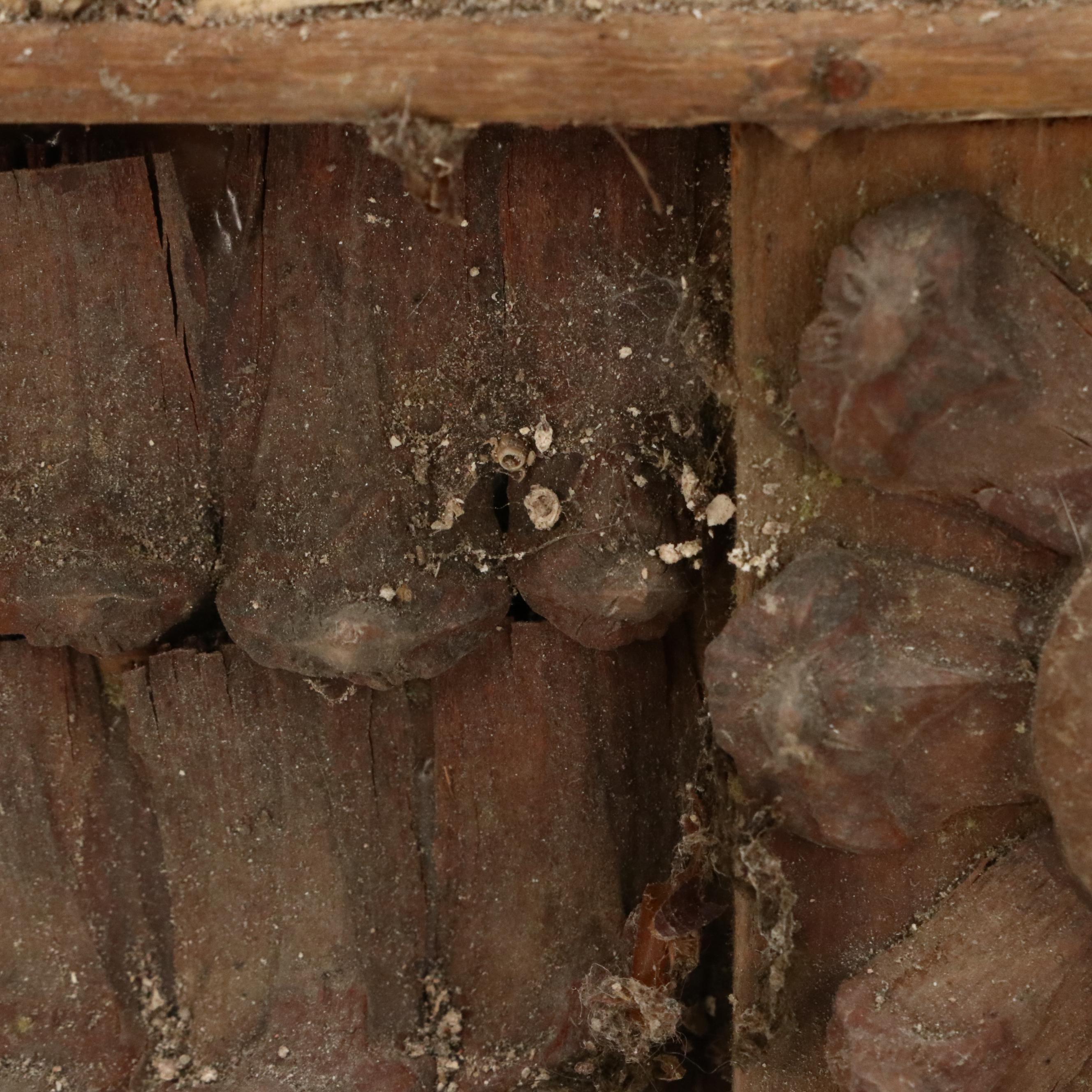 Robert Beaven Handmade Folk Art Found Organic Materials Frame, 20th Century