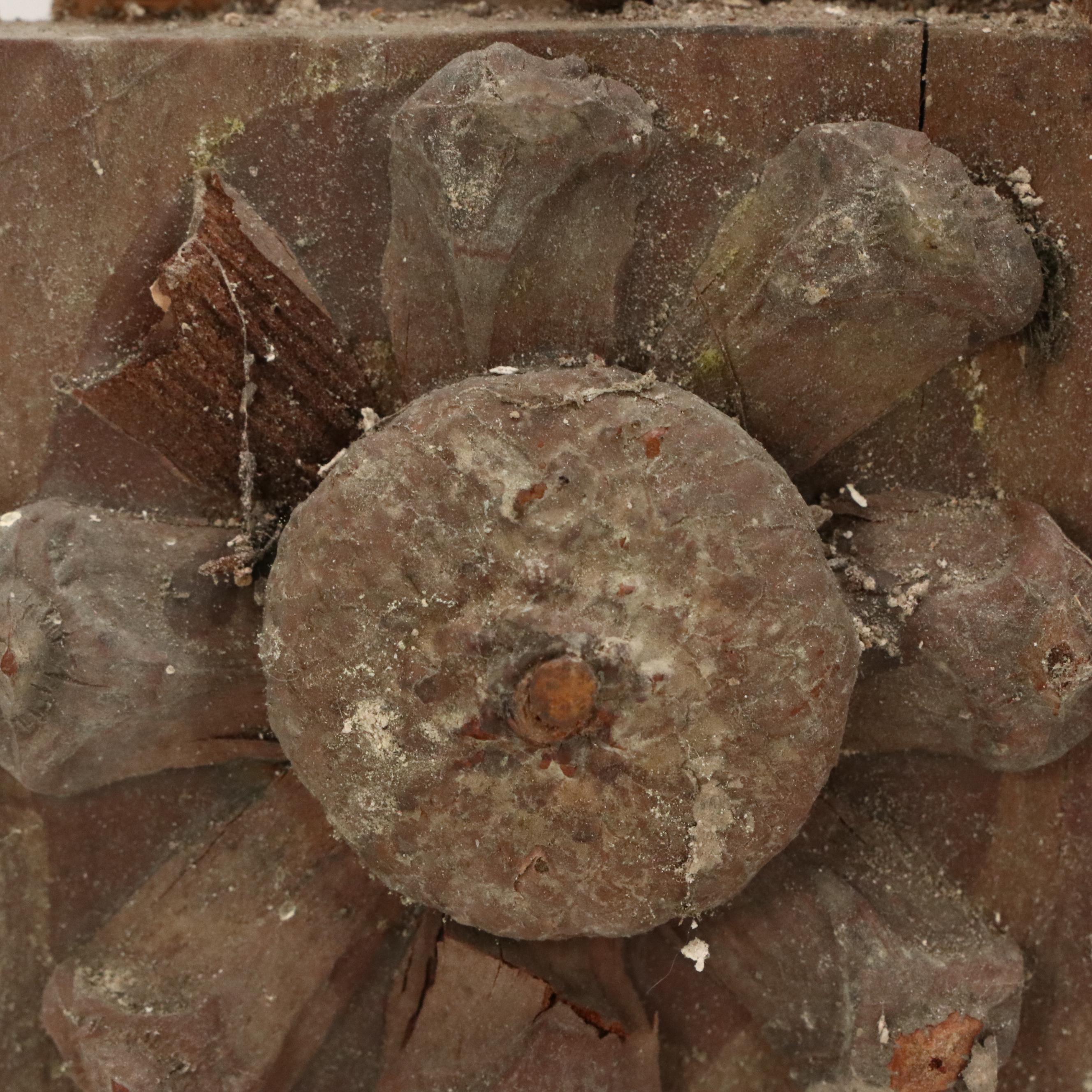 Robert Beaven Handmade Folk Art Found Organic Materials Frame, 20th Century