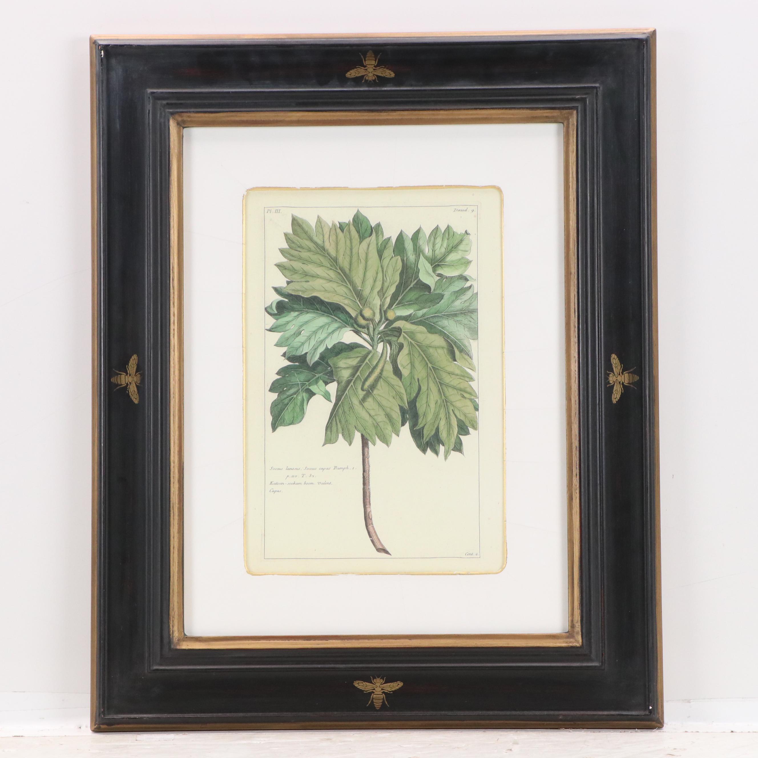 Digital Reproductions of Antique Botanical Prints, 20th or 21st Century