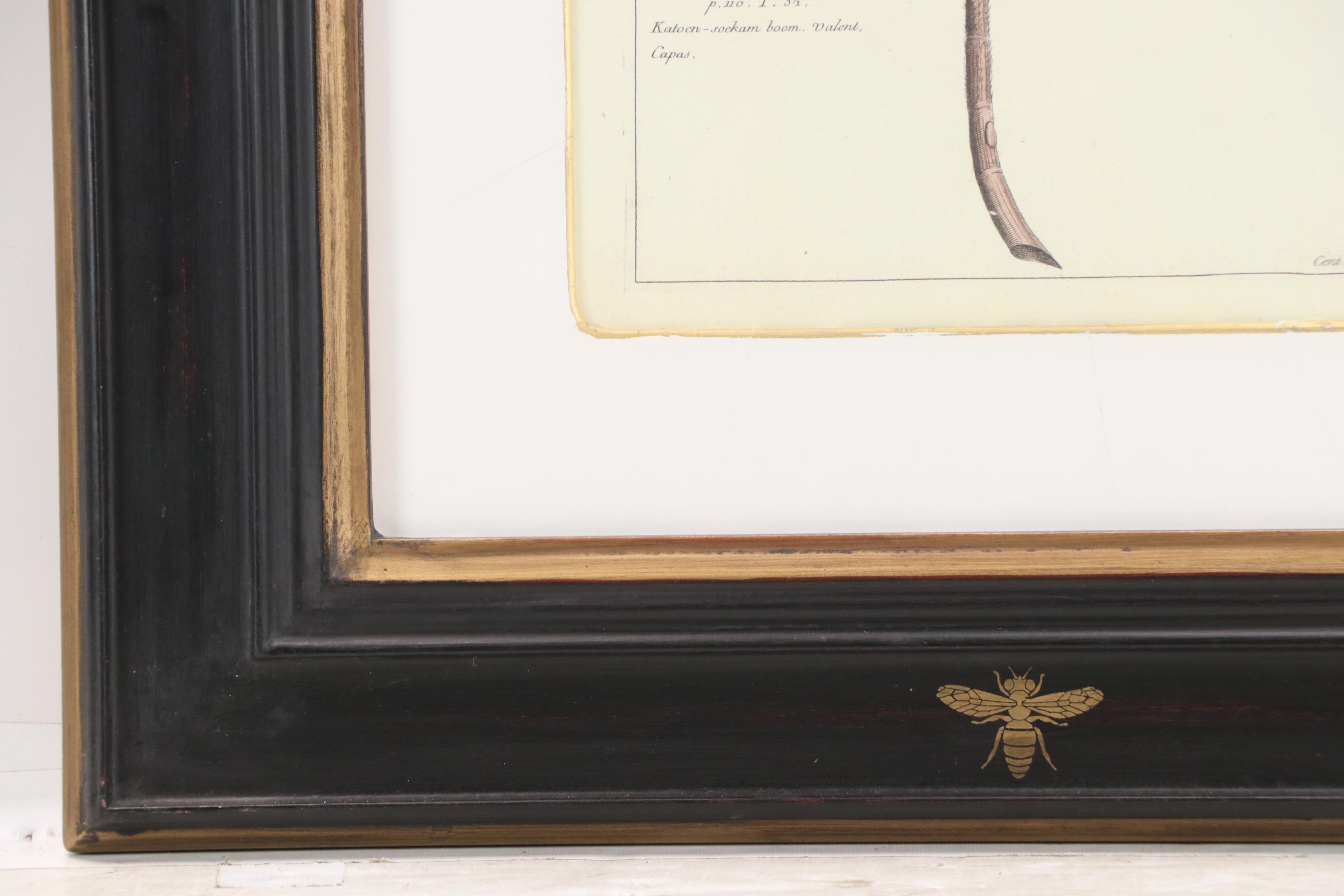 Digital Reproductions of Antique Botanical Prints, 20th or 21st Century