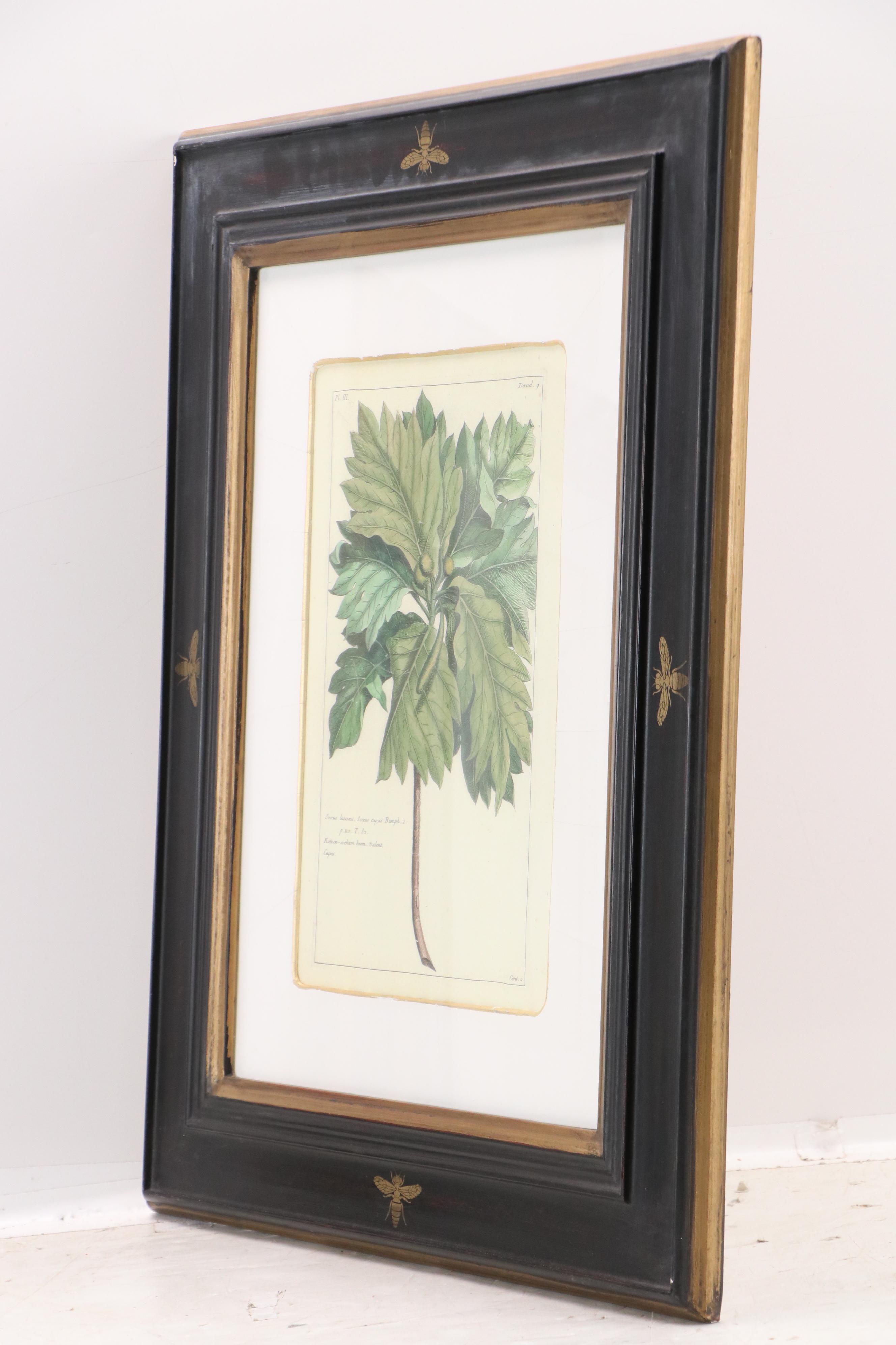 Digital Reproductions of Antique Botanical Prints, 20th or 21st Century