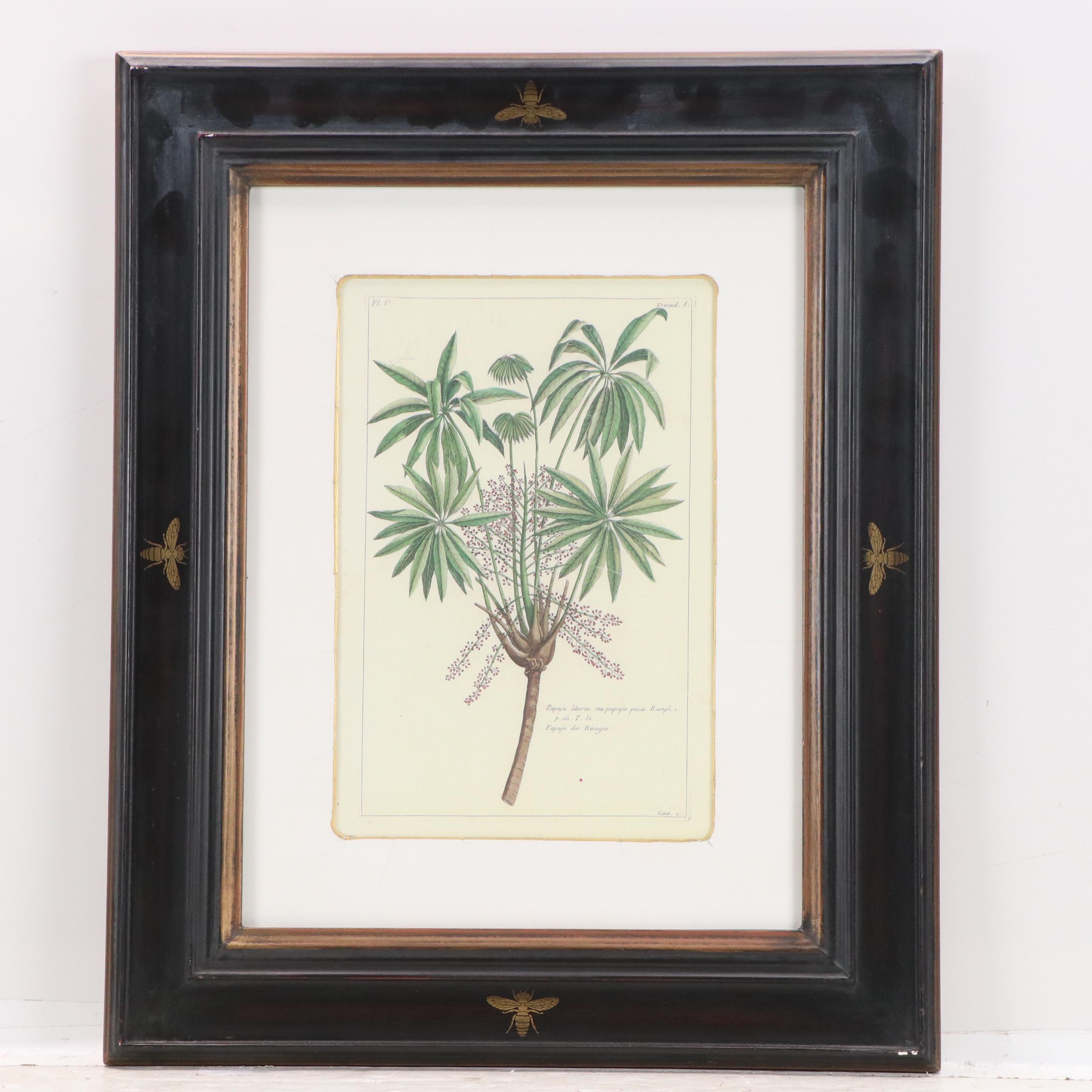 Digital Reproductions of Antique Botanical Prints, 20th or 21st Century