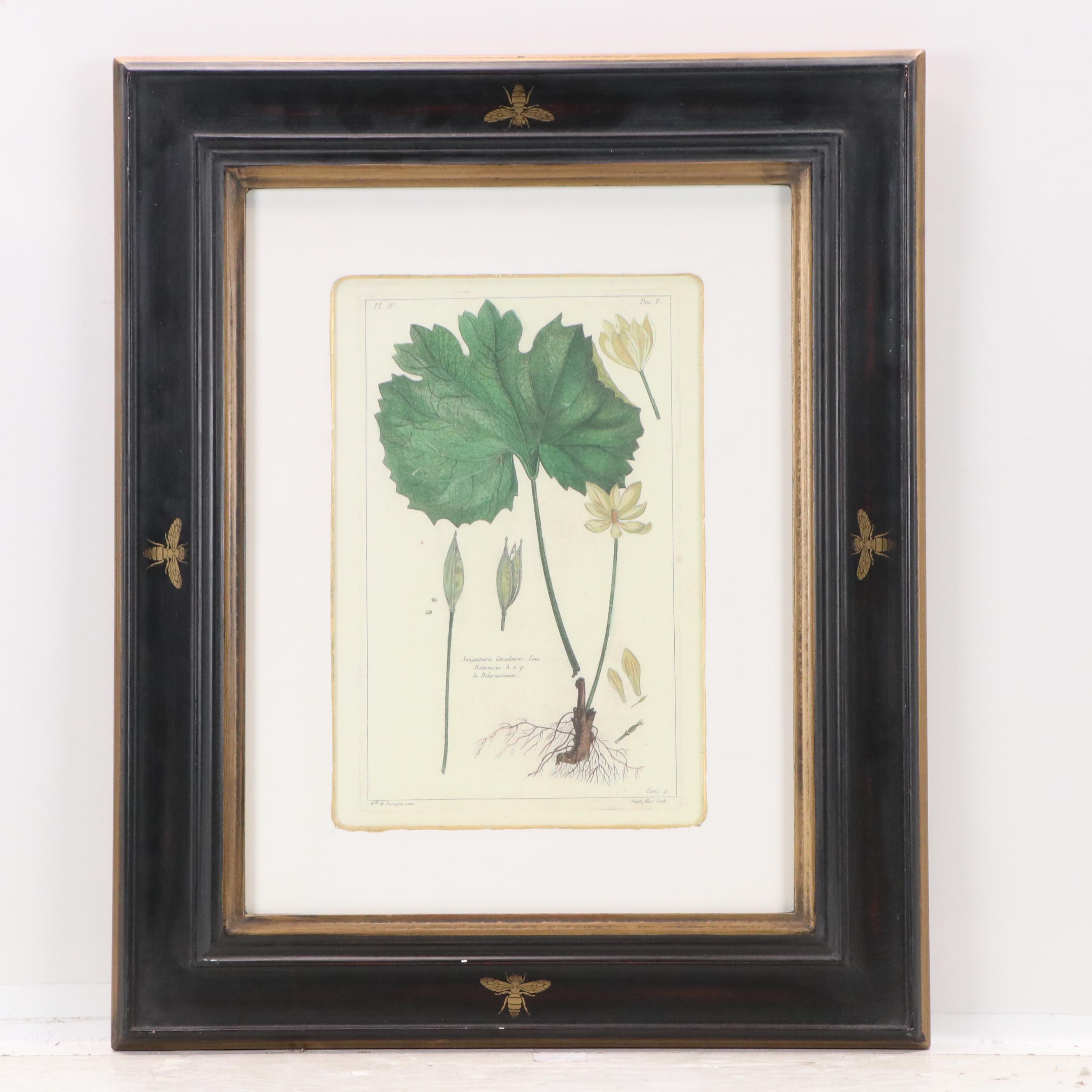 Digital Reproductions of Antique Botanical Prints, 20th or 21st Century