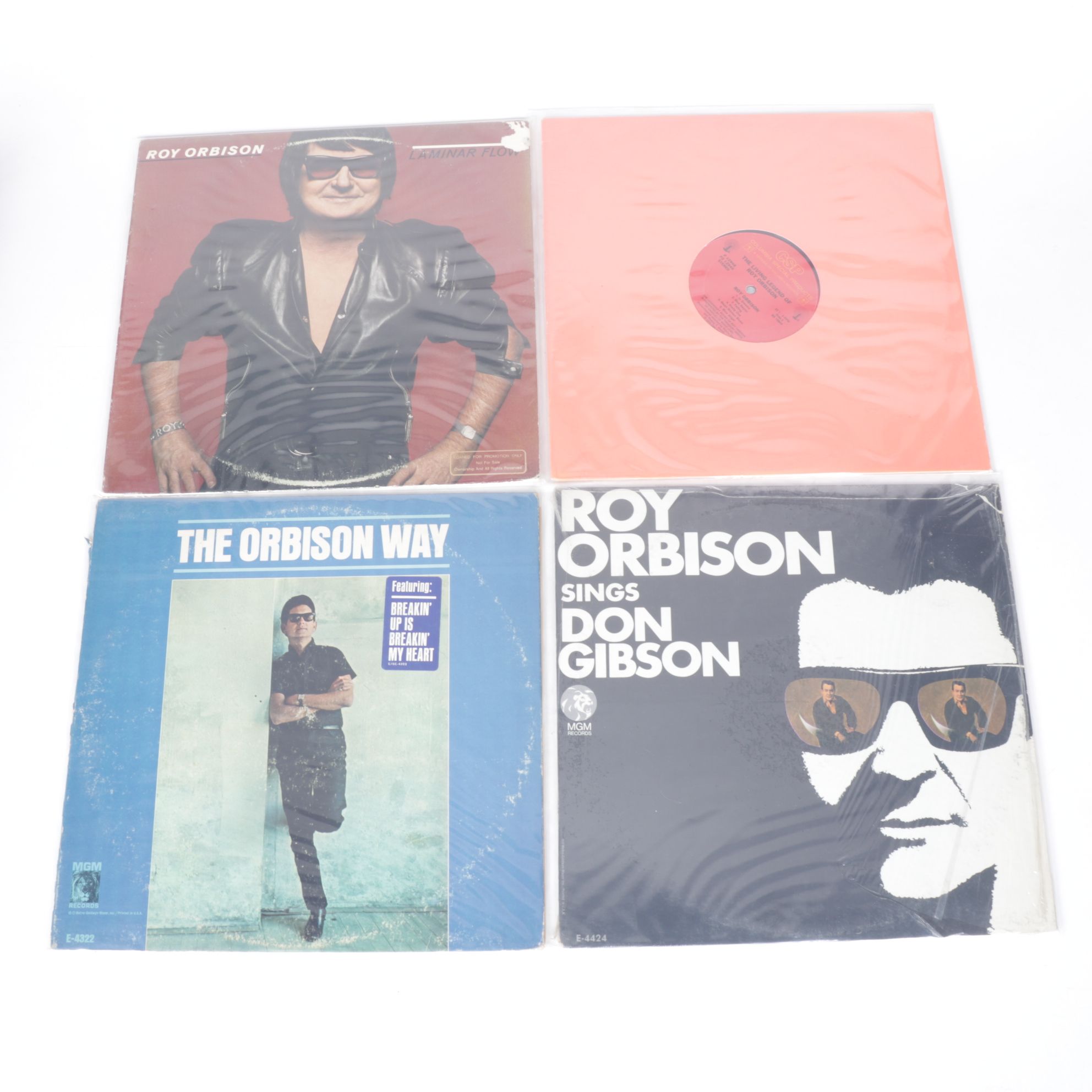 Roy Orbison, John Denver, Simon & Garfunkel and The Beach Boys Vinyl Records