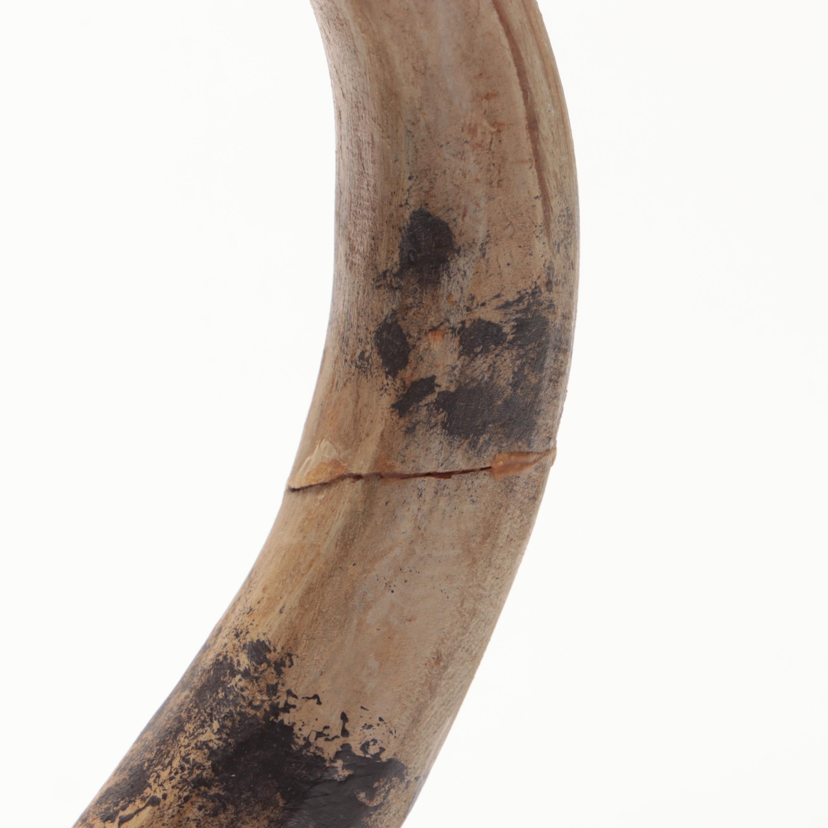 Hand-Carved Hand-Painted Wooden Cat with Animals and Other Figurines