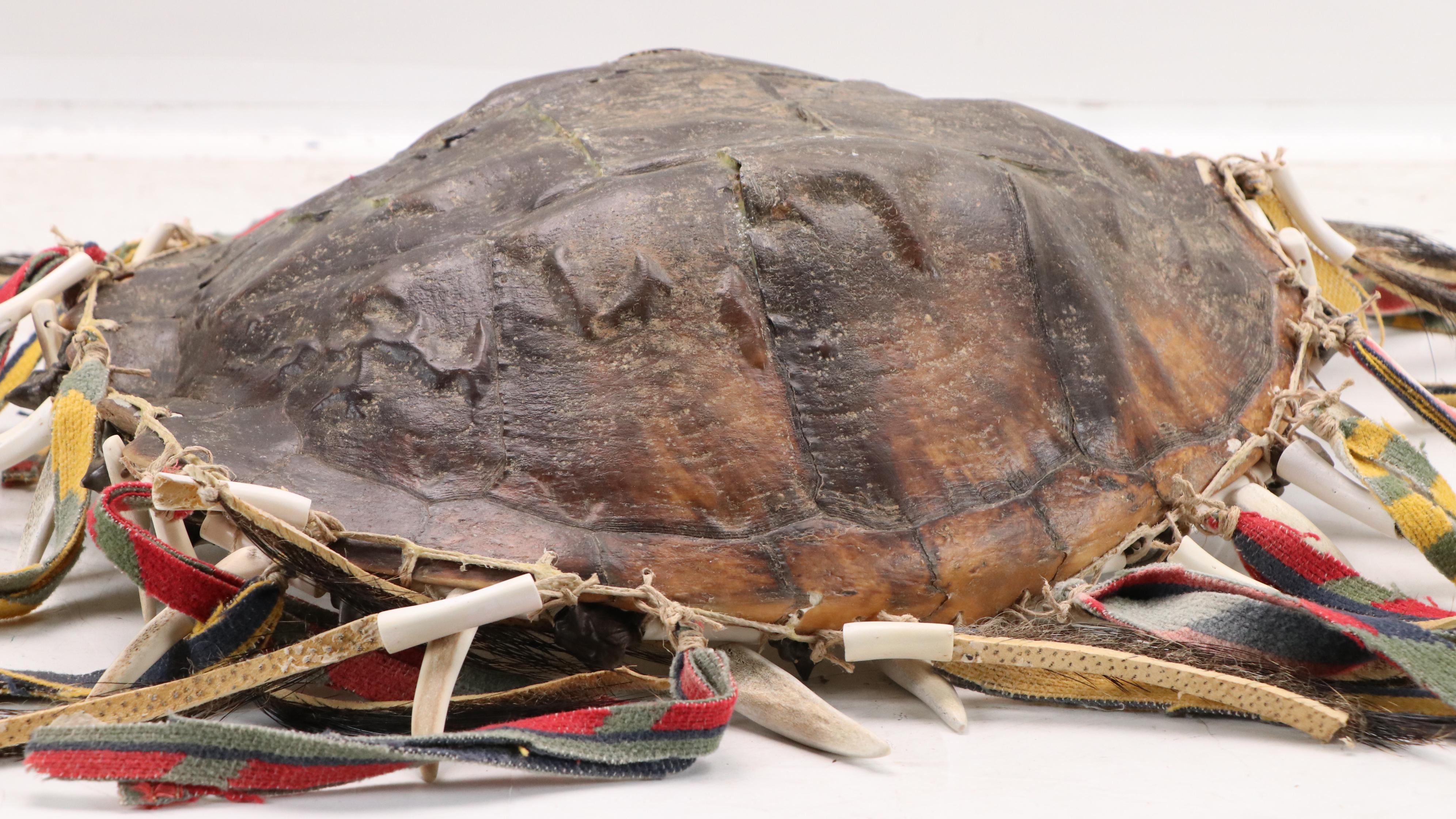 Robert Beaven Folk Art Sculpture With Found Wood, Turtle Shell, and More