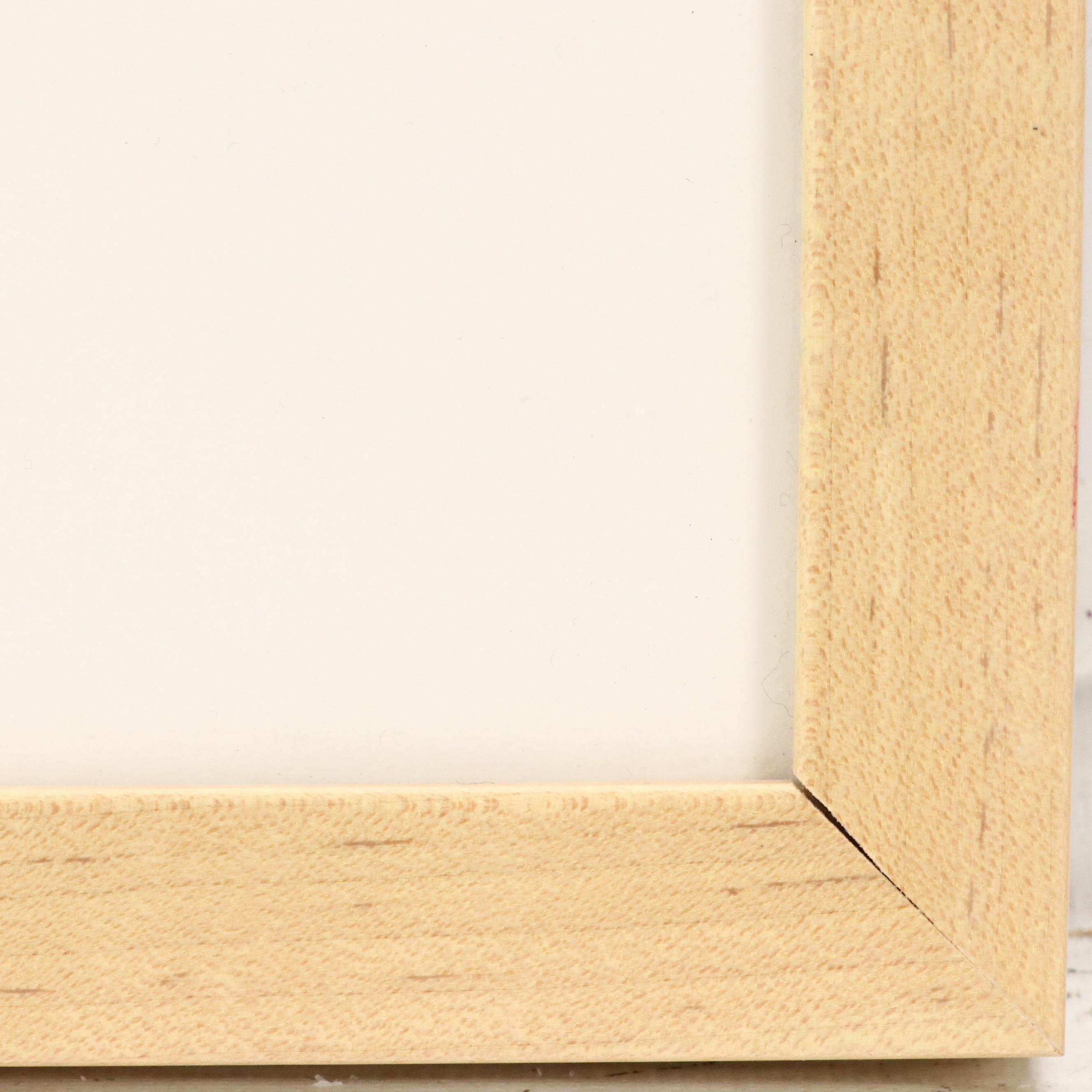 Wilfred Labiosa Serigraph of Parrot on Streetlamp