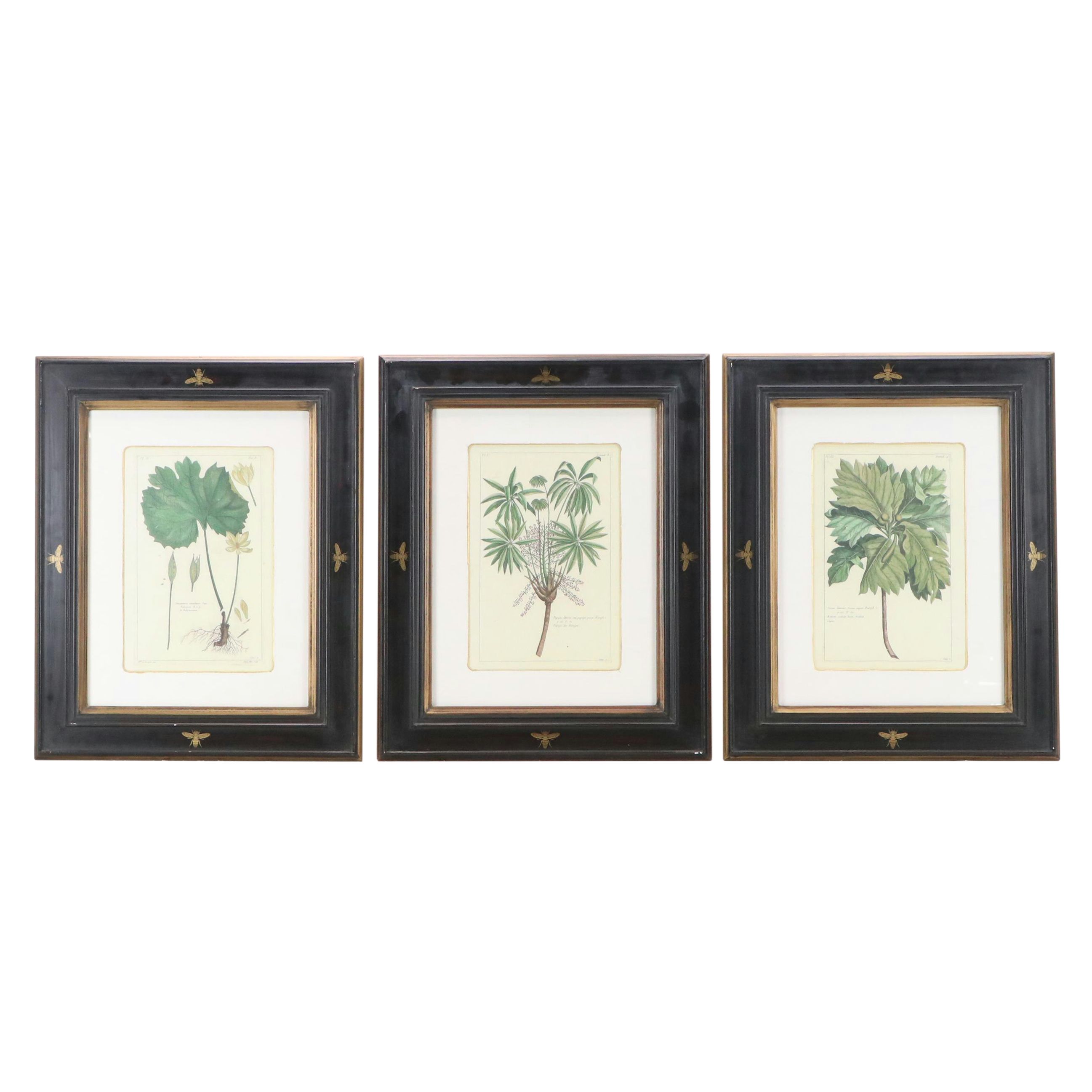 Digital Reproductions of Antique Botanical Prints, 20th or 21st Century