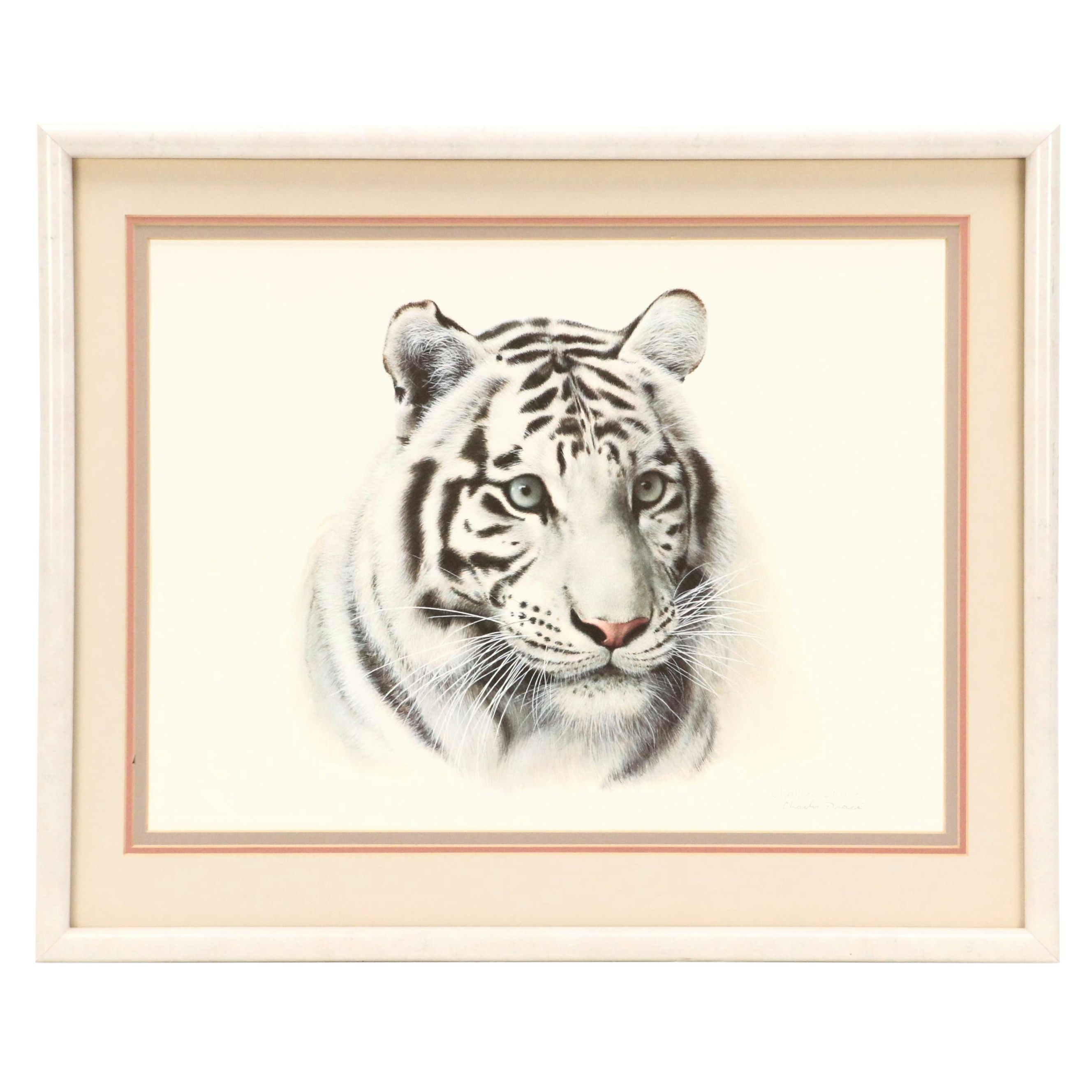 Charles Fracé Offset Lithograph "White Tiger," 1980
