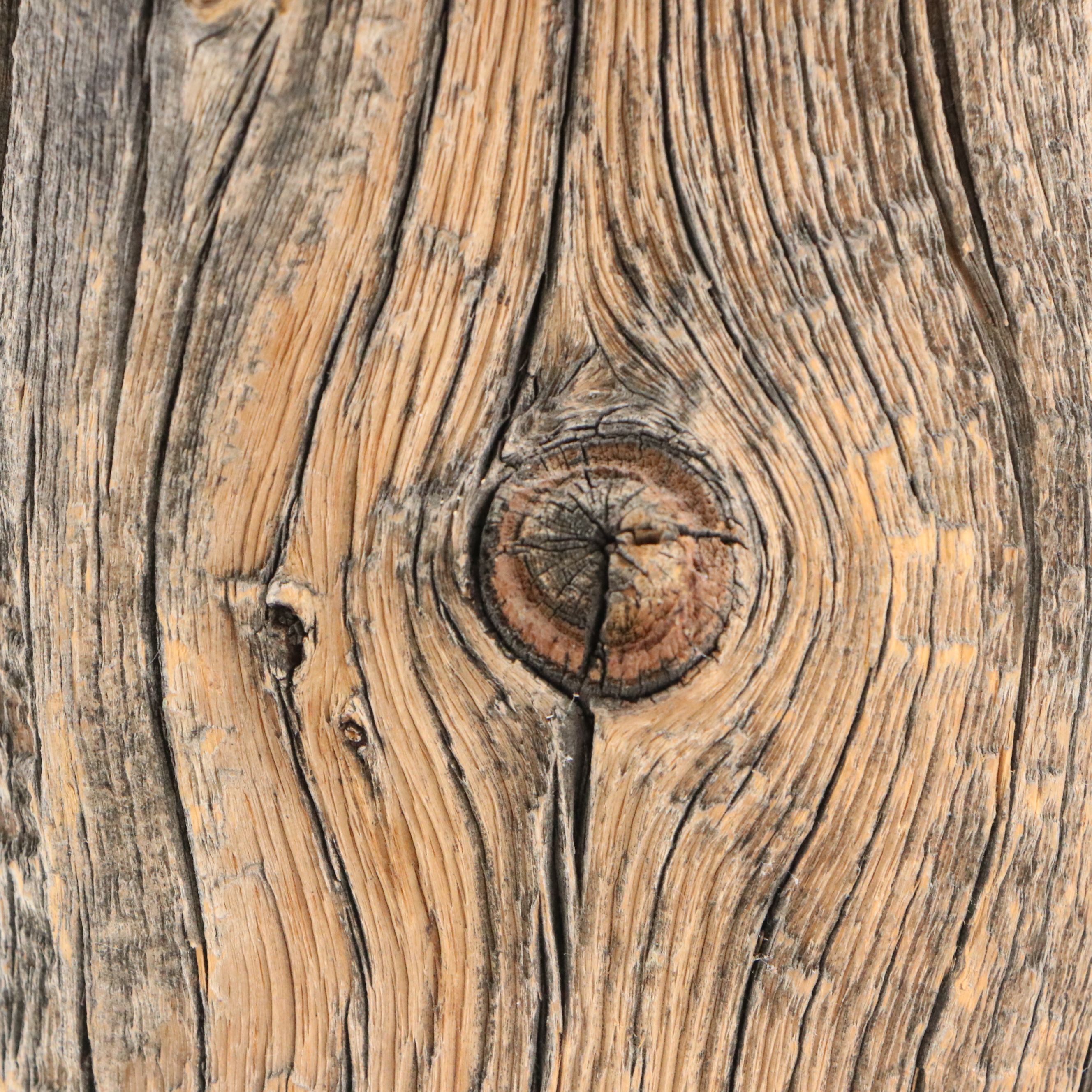 Spancraft Folk Art Carved Wood Mushroom Box