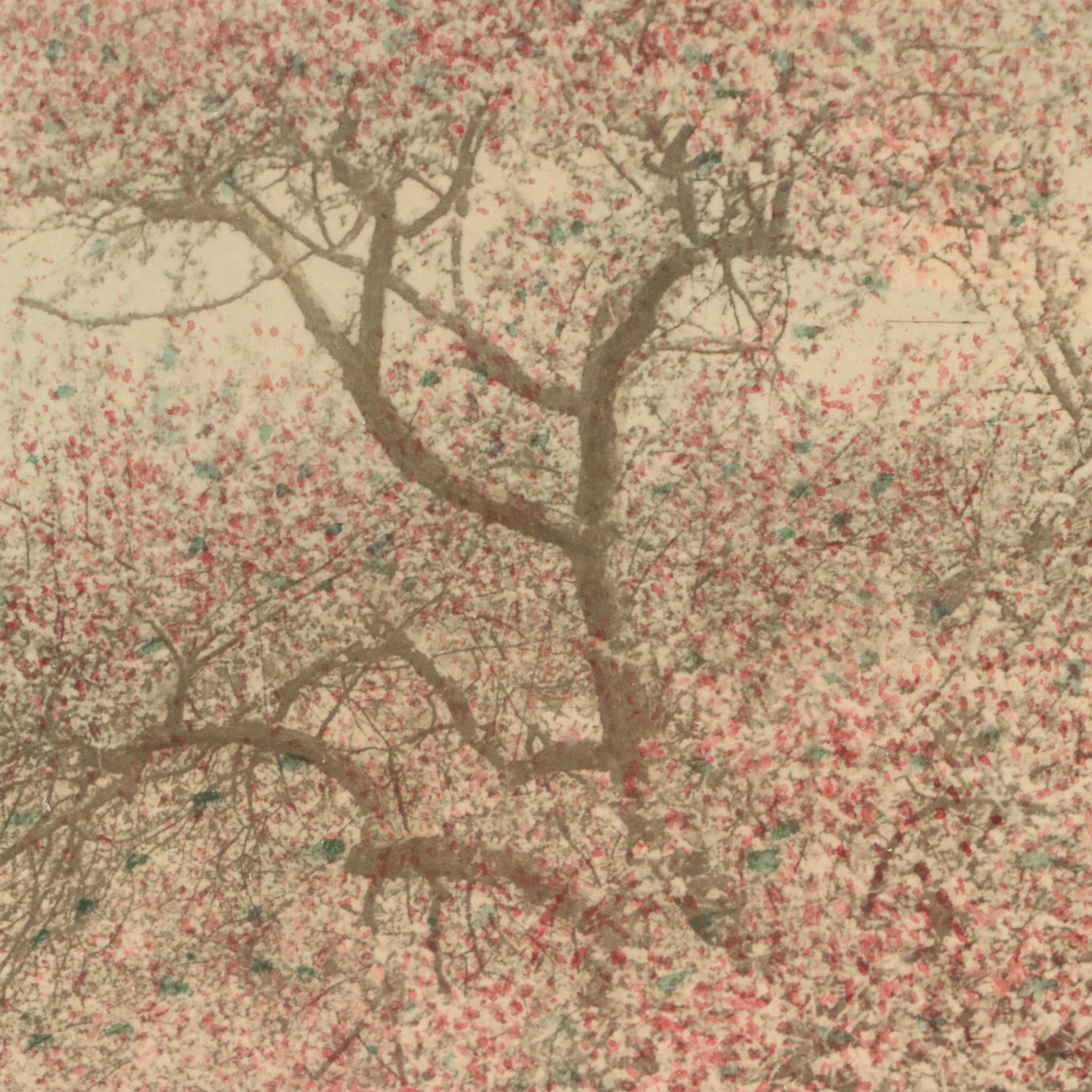 Wallace Nutting Hand-Tinted Platinum Photograph "Decked as a Bride"