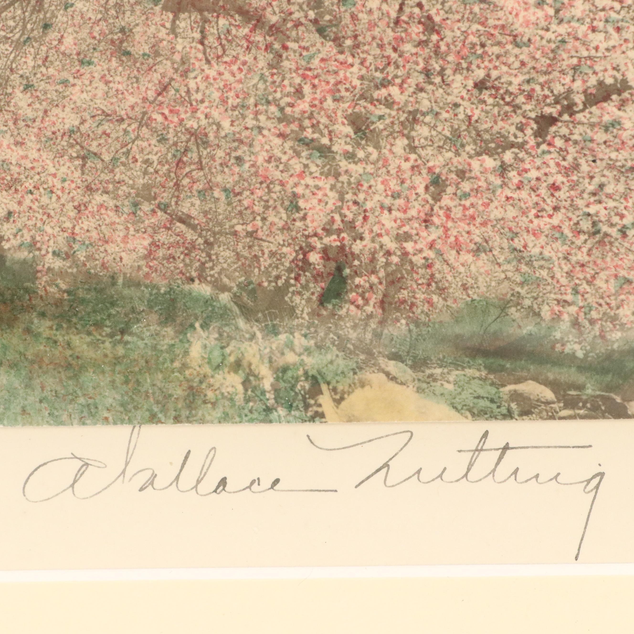 Wallace Nutting Hand-Tinted Platinum Photograph "Decked as a Bride"