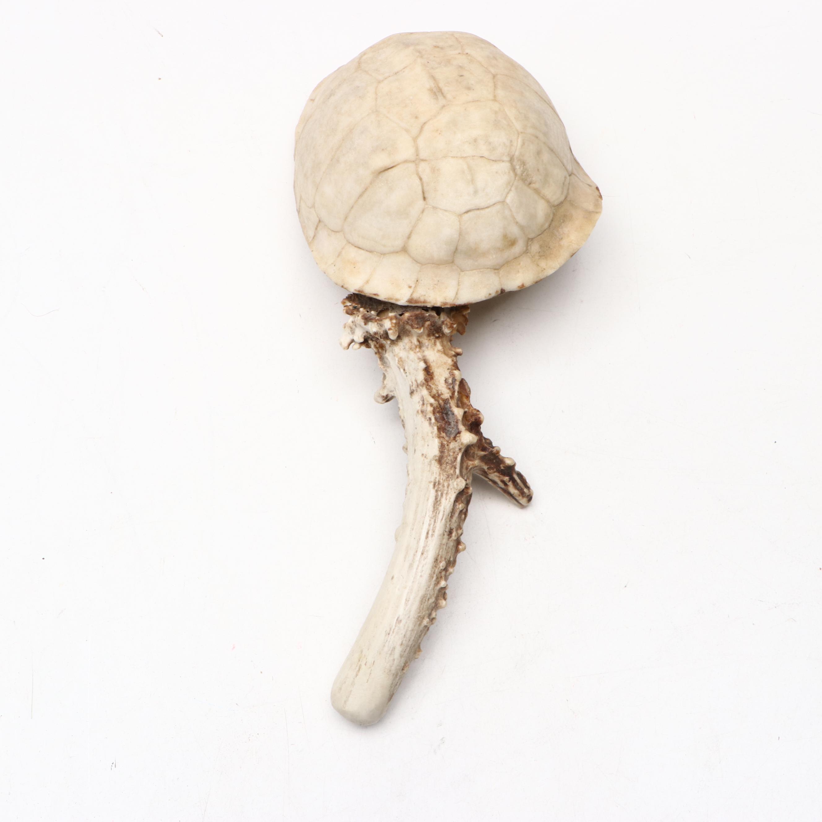 Robert Beaven Handmade Turtle Shell and Antelope Leg Rattles