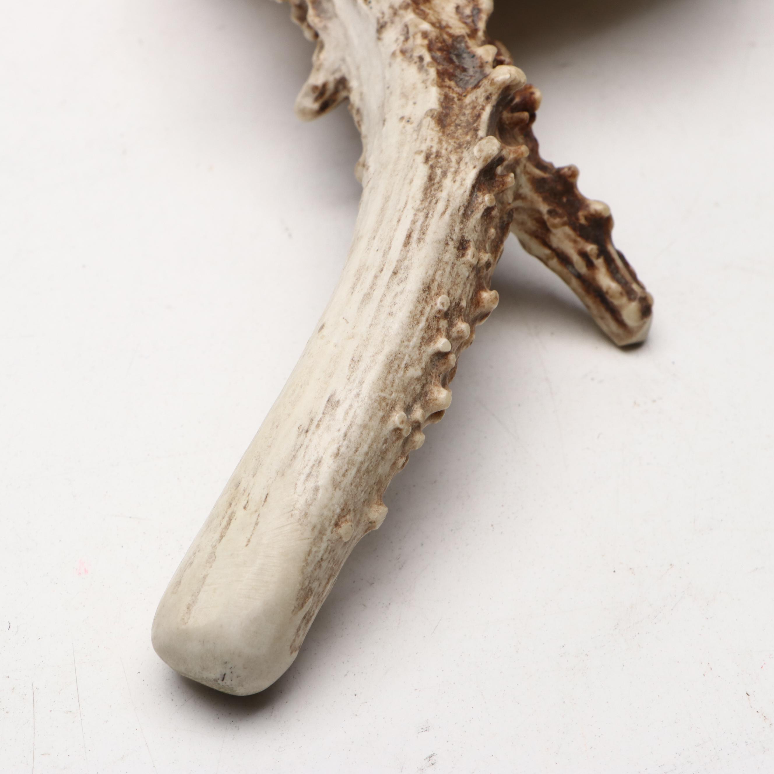 Robert Beaven Handmade Turtle Shell and Antelope Leg Rattles