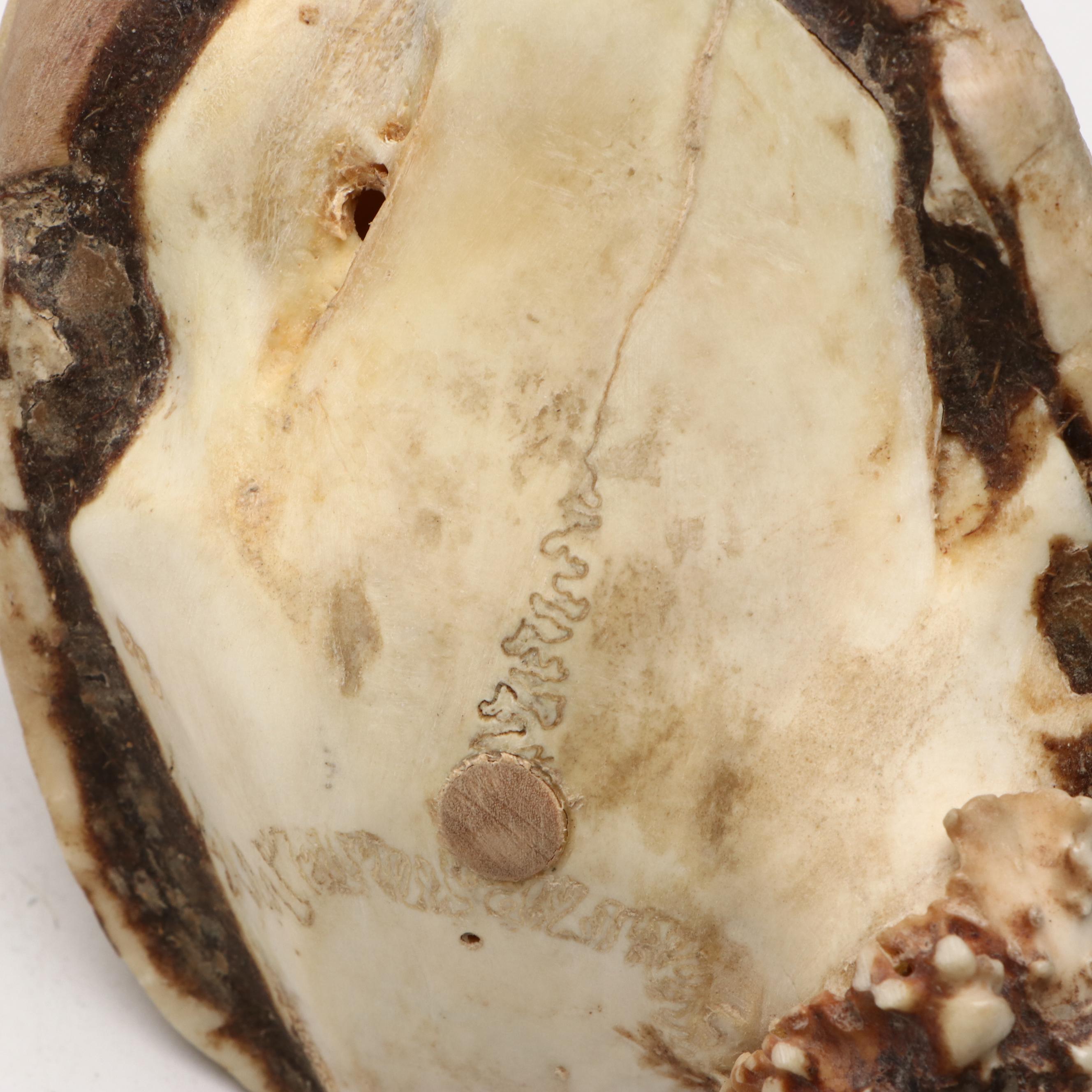 Robert Beaven Handmade Turtle Shell and Antelope Leg Rattles