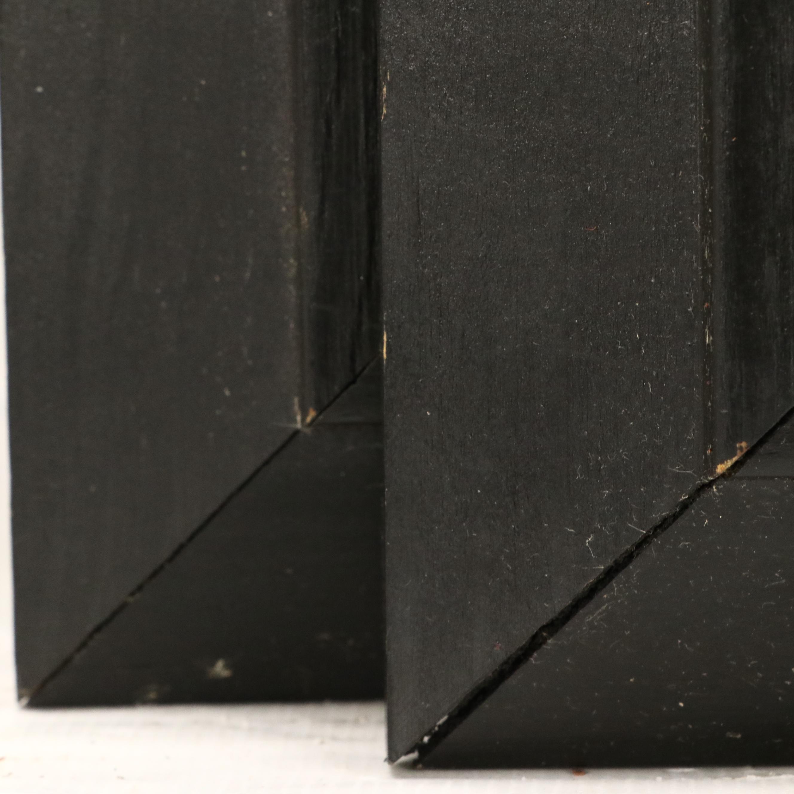 Digital Prints of Women with Cats, 2000