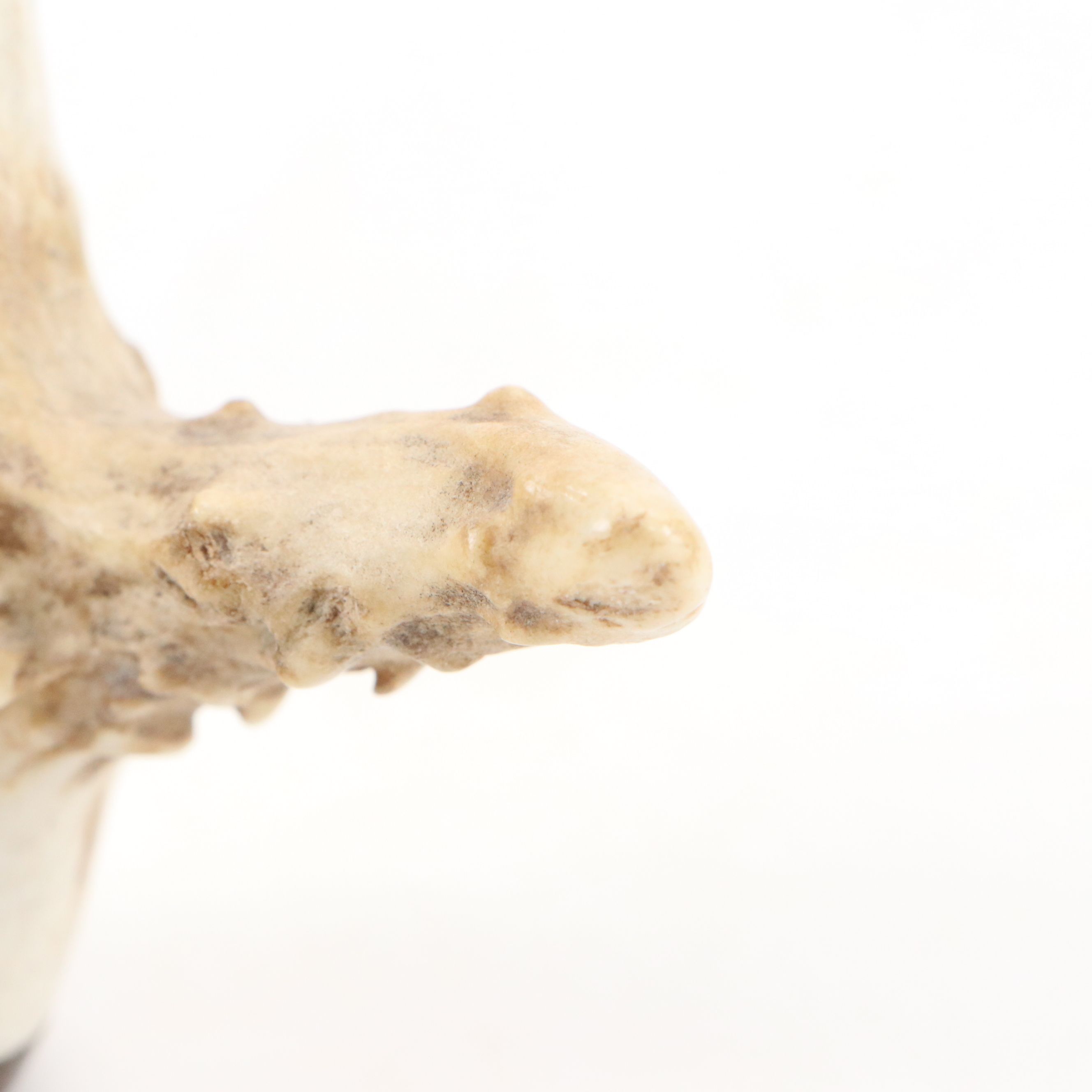 Hand-Carved Antler Tobacco Pipe Boxes with Fitted Wood Caps