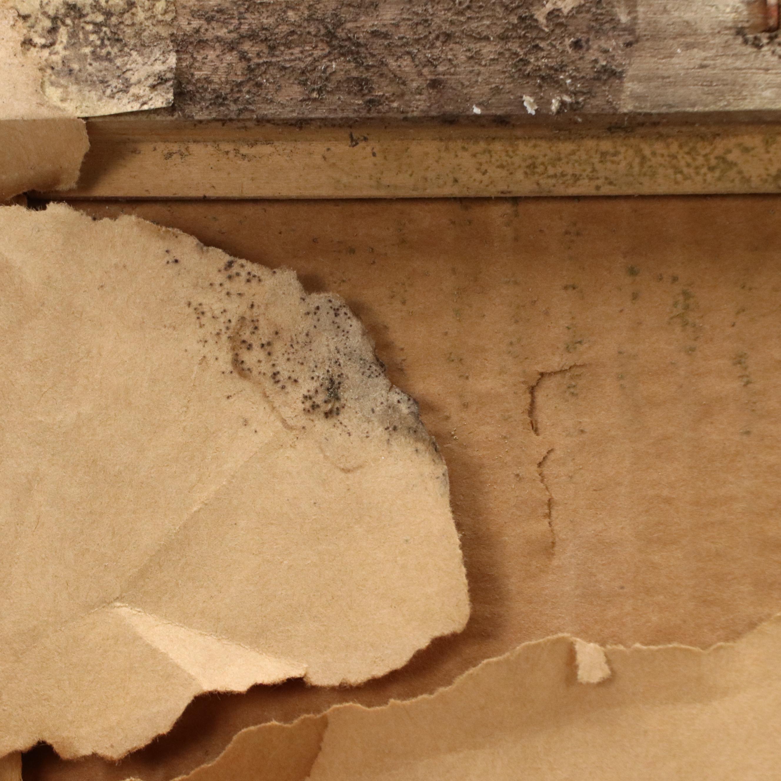 Marjan Pogačnik Relief Etching, 1973