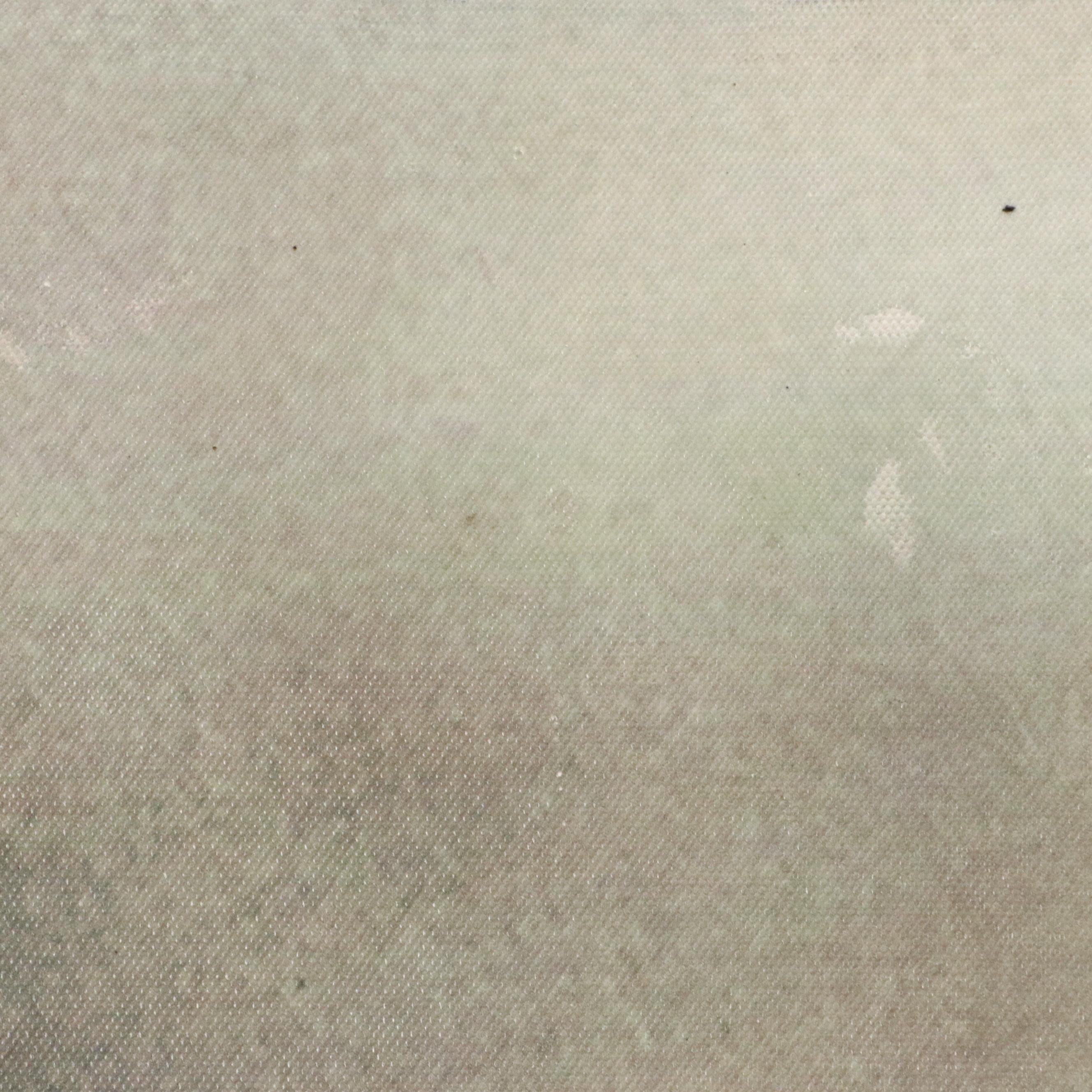 Digital Print Misty Morning View of Horse and Exercise Rider, 2017