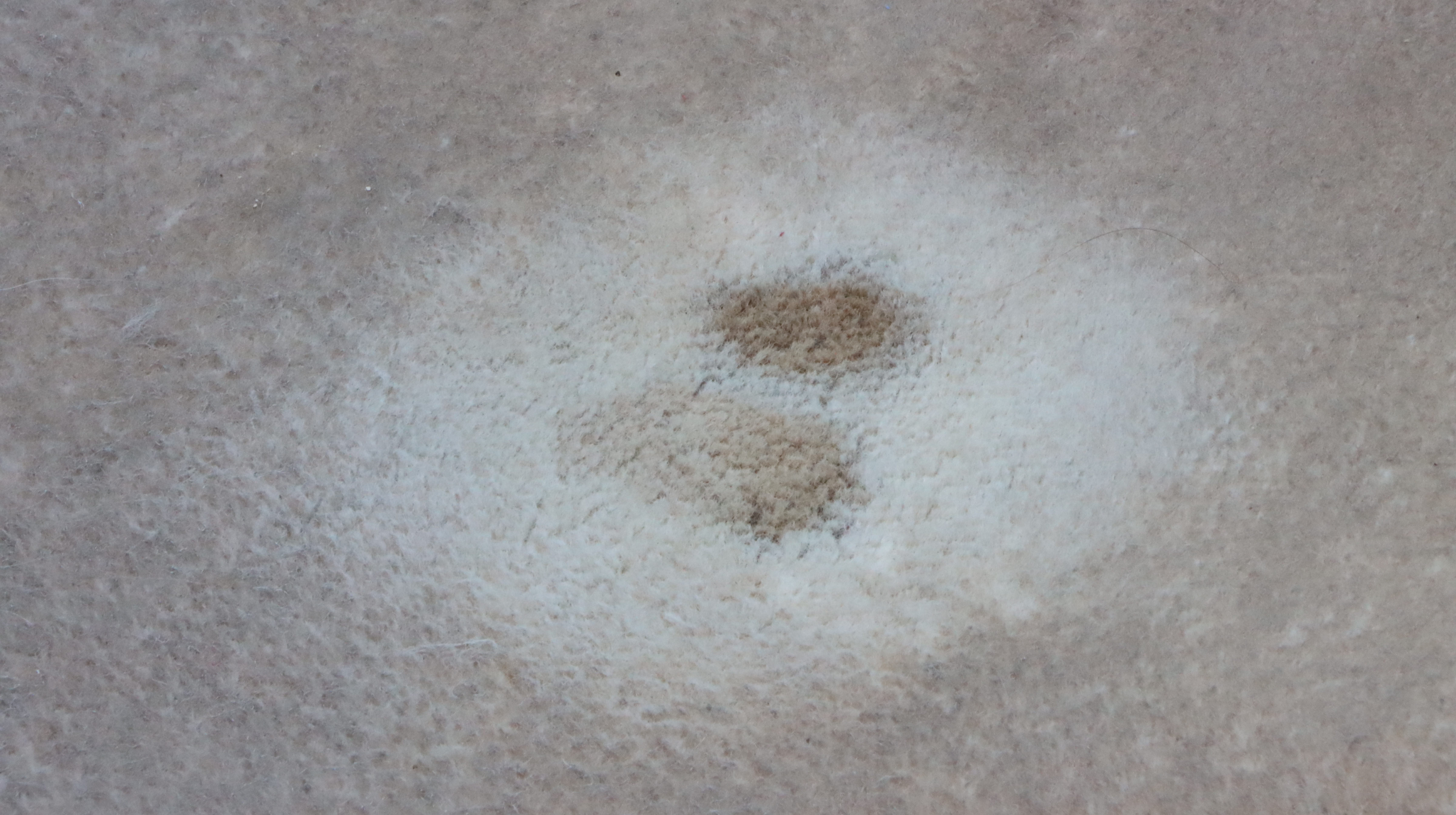 2000 Mercedes-Benz SL600 Convertible with Hard Top