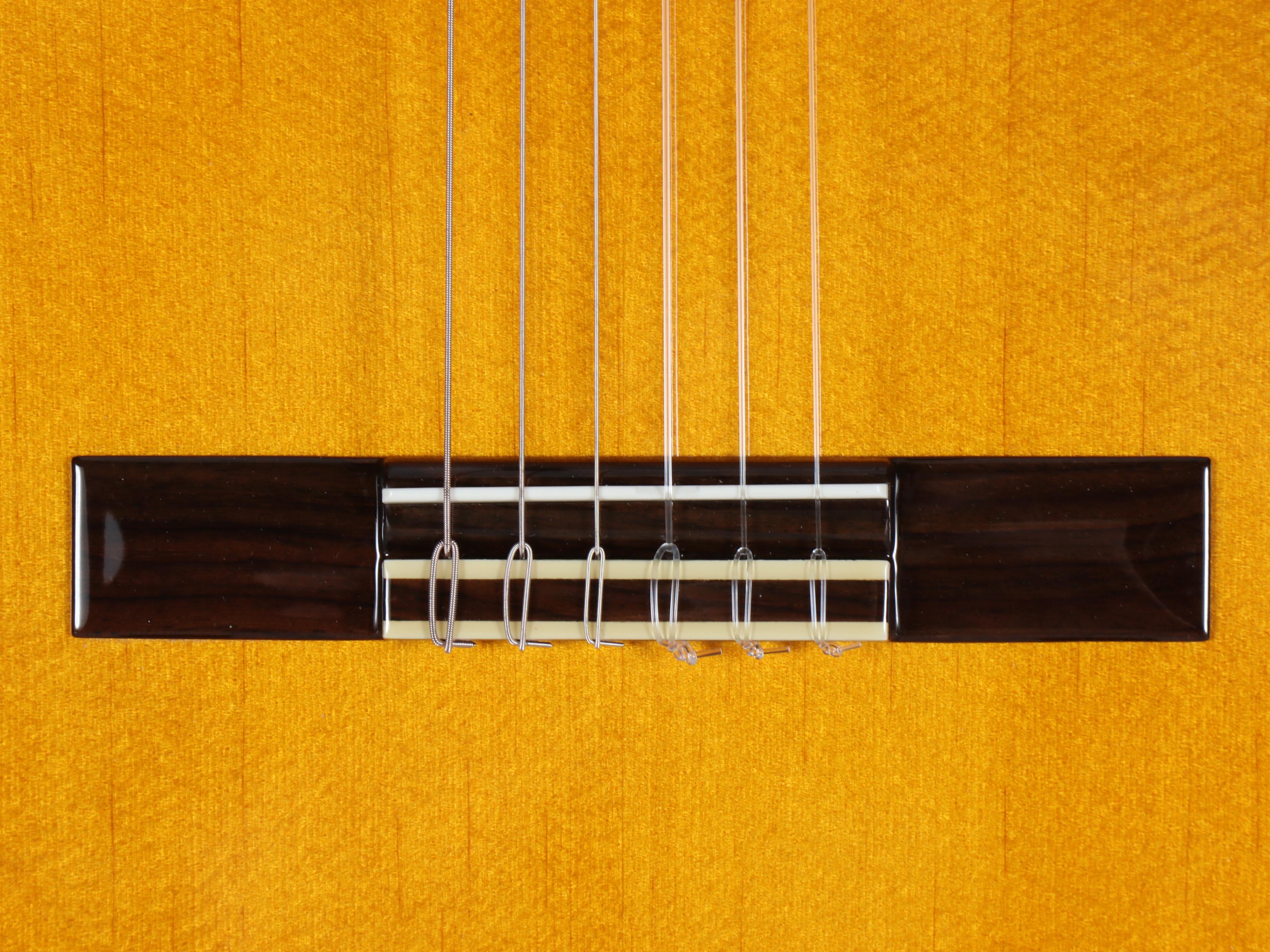 Yamaha Model CG-101 Wooden Acoustic Guitar in Case