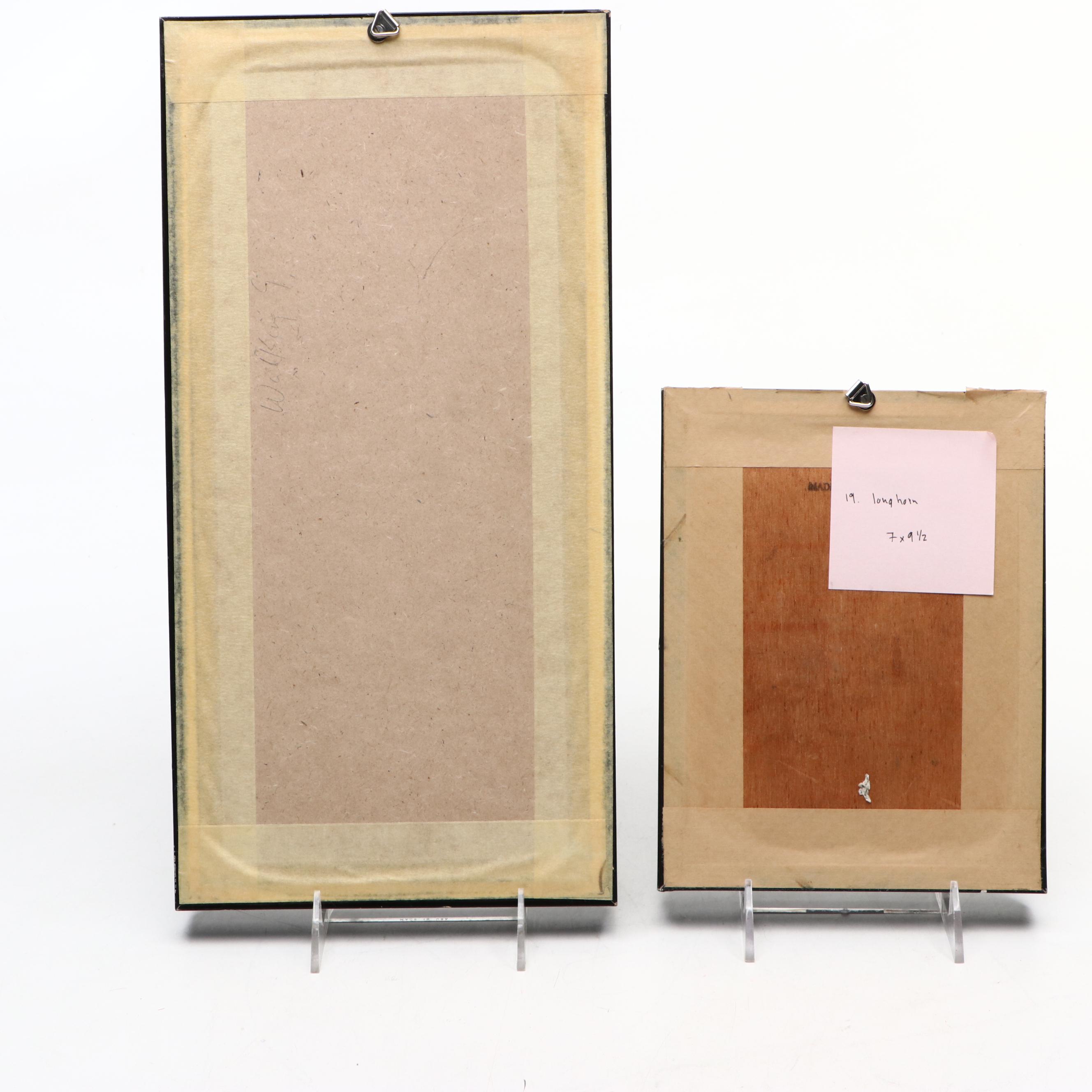 Taxidermy Malaysian Stick Insect and Longhorn Beetle in Shadowbox Frames