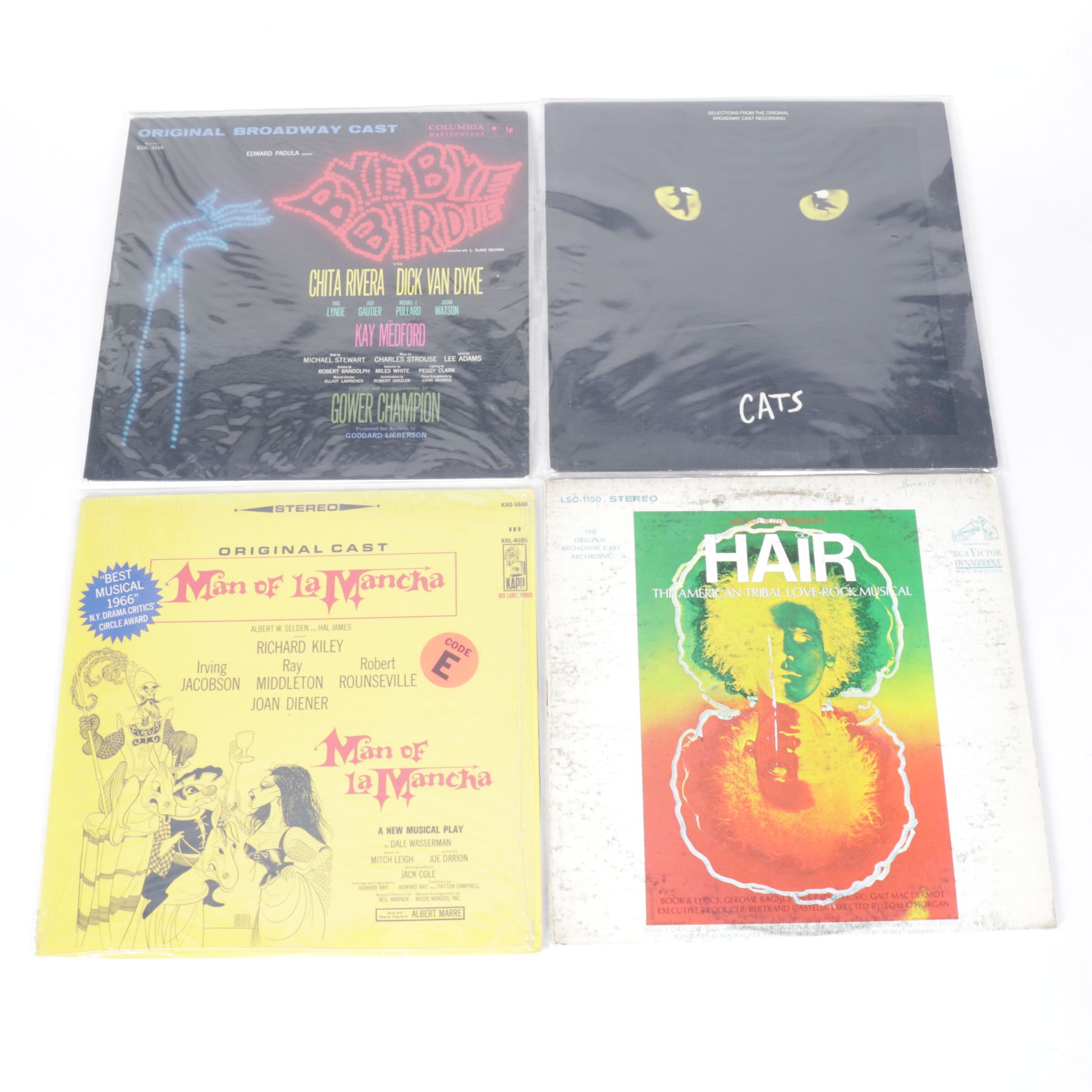 Dick Van Dyke in "Bye Bye Birdie" & Other Musical Vinyl Record Albums