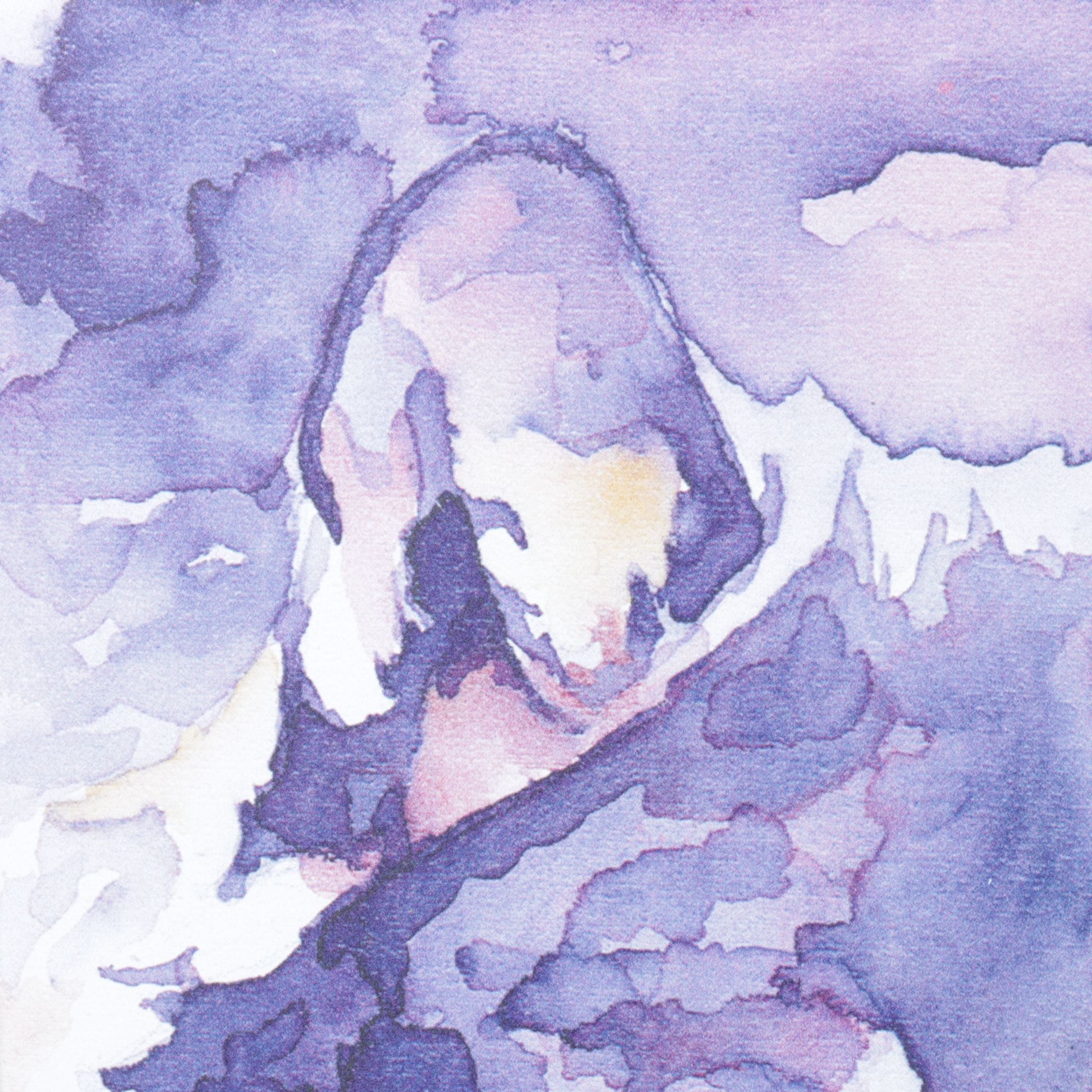 Giclée Metal Box Art After Karen Savory "Wild Beauty", 2018