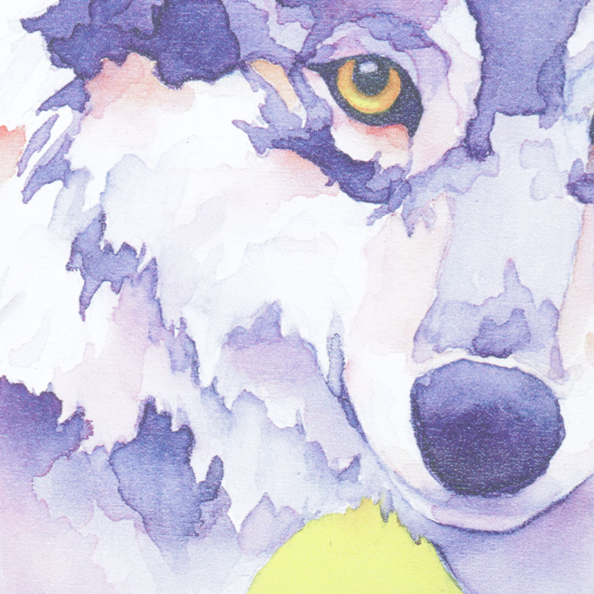 Giclée Metal Box Art After Karen Savory "Wild Beauty", 2018