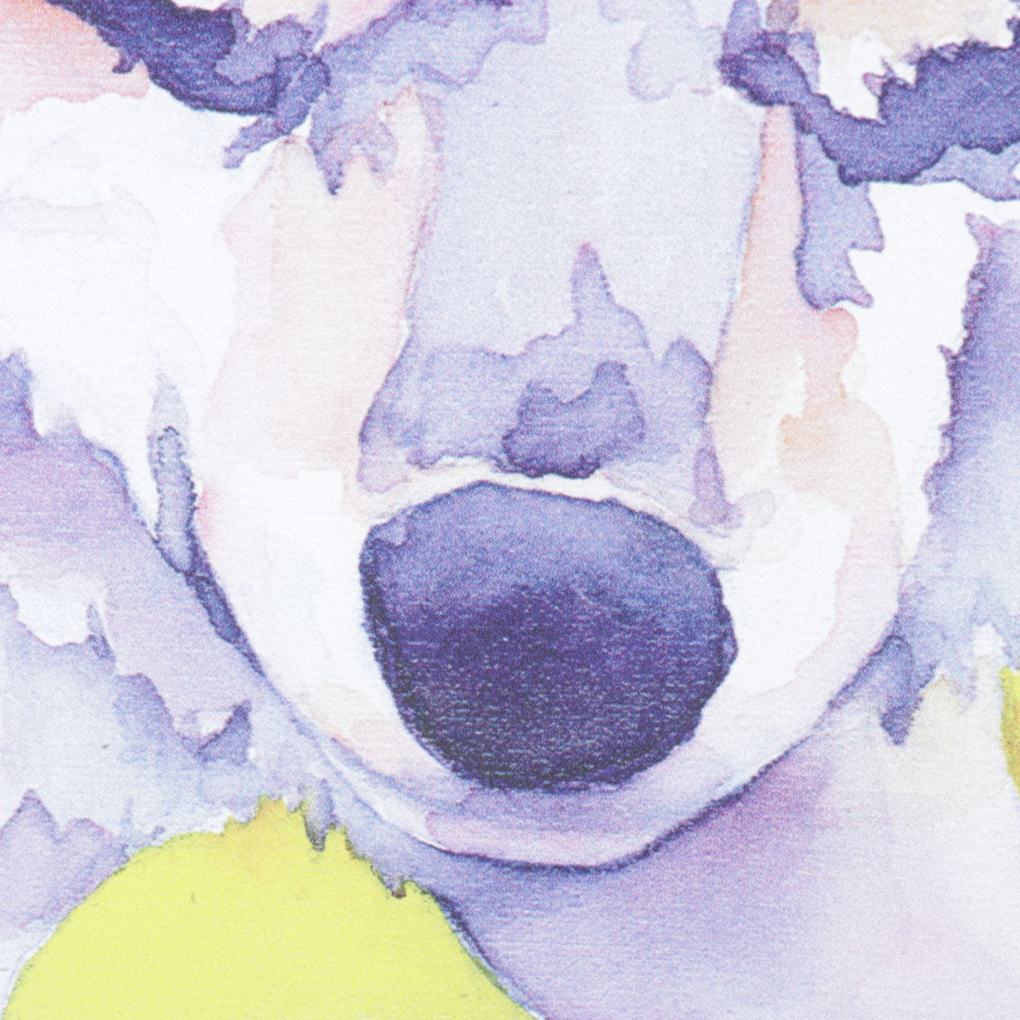 Giclée Metal Box Art After Karen Savory "Wild Beauty", 2018