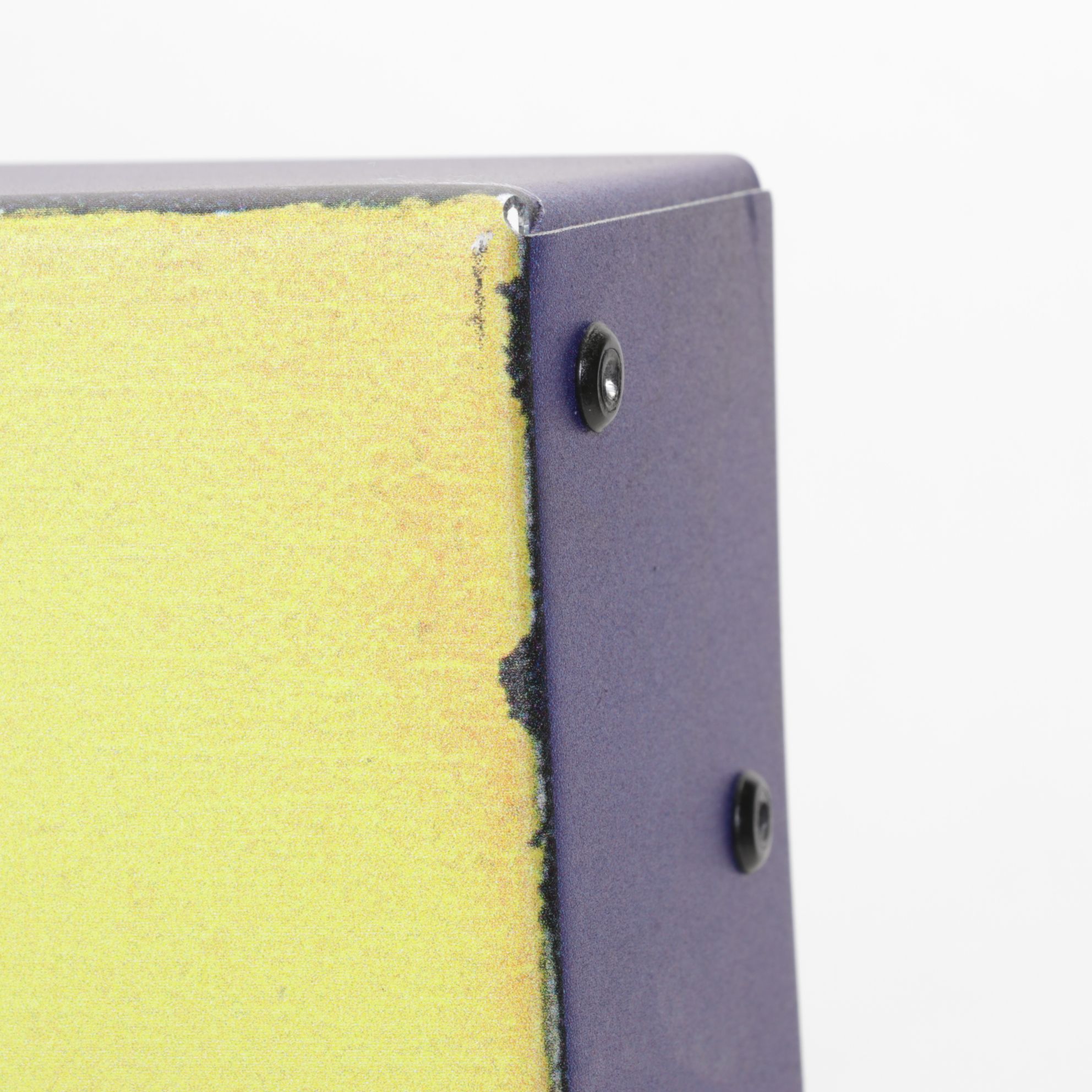 Giclée Metal Box Art After Karen Savory "Wild Beauty", 2018