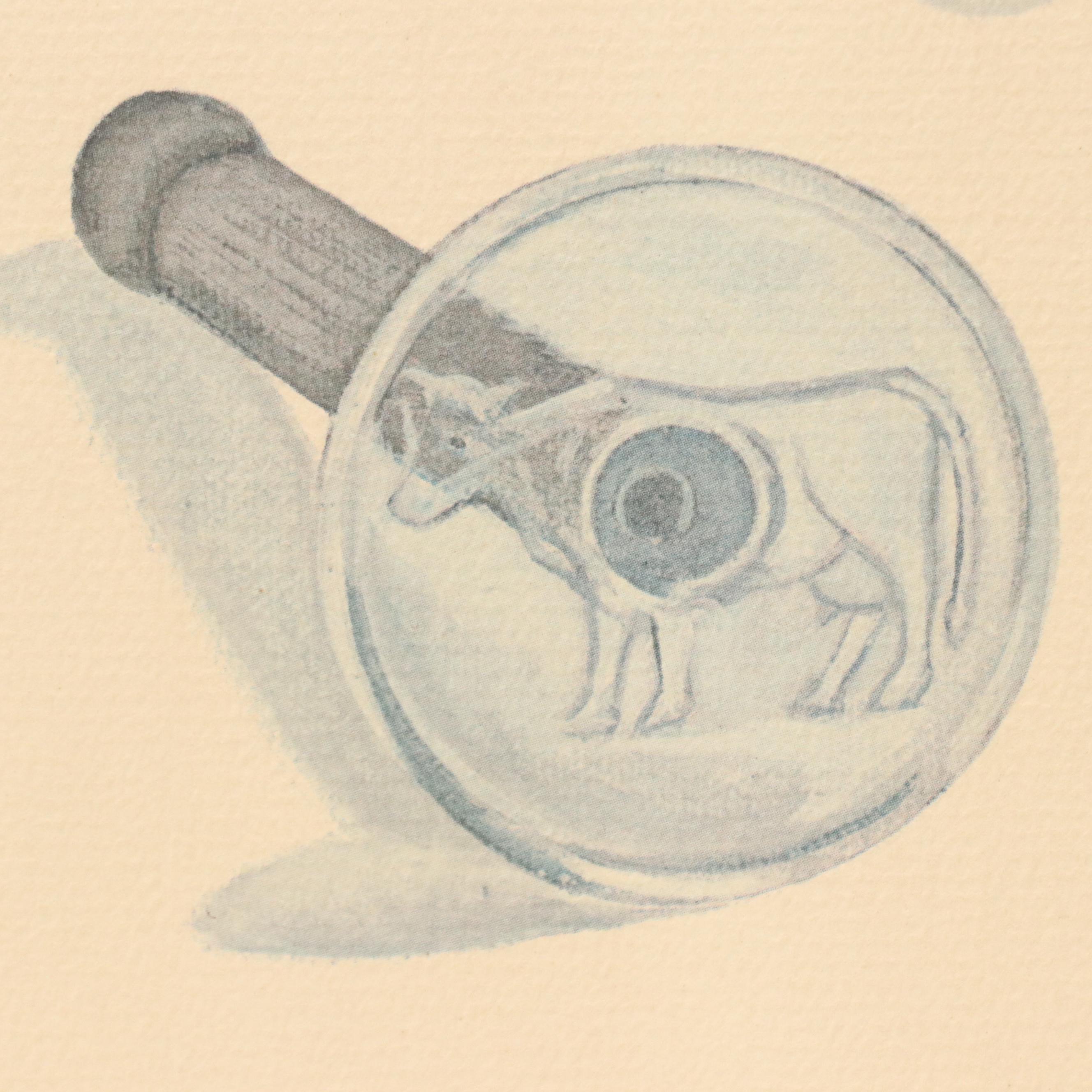 Ken Caringer, Donnie Firkins and Bill Granstaff Still Life Offset Lithographs