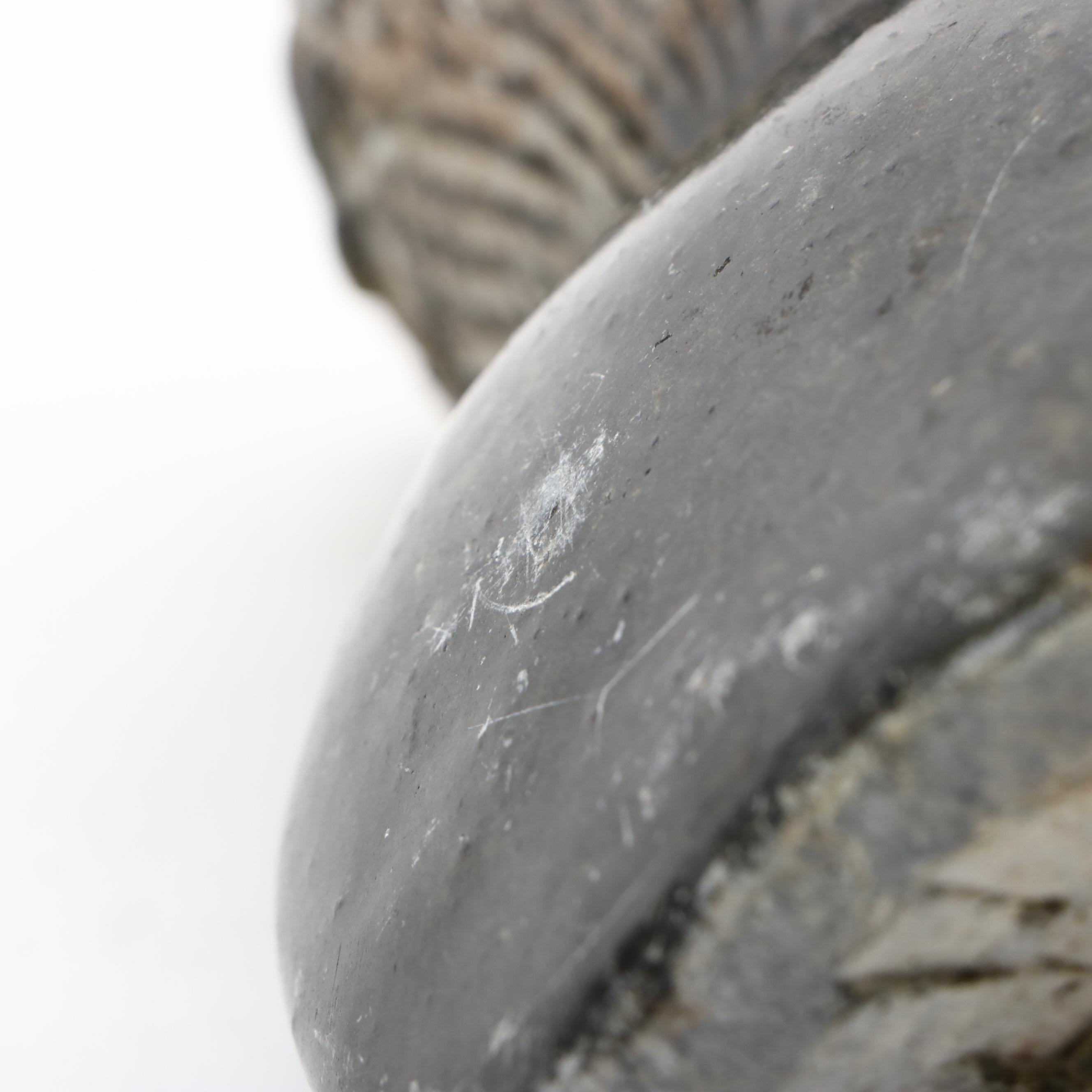 Zimbabwe Shona Carved Stone Sculpture