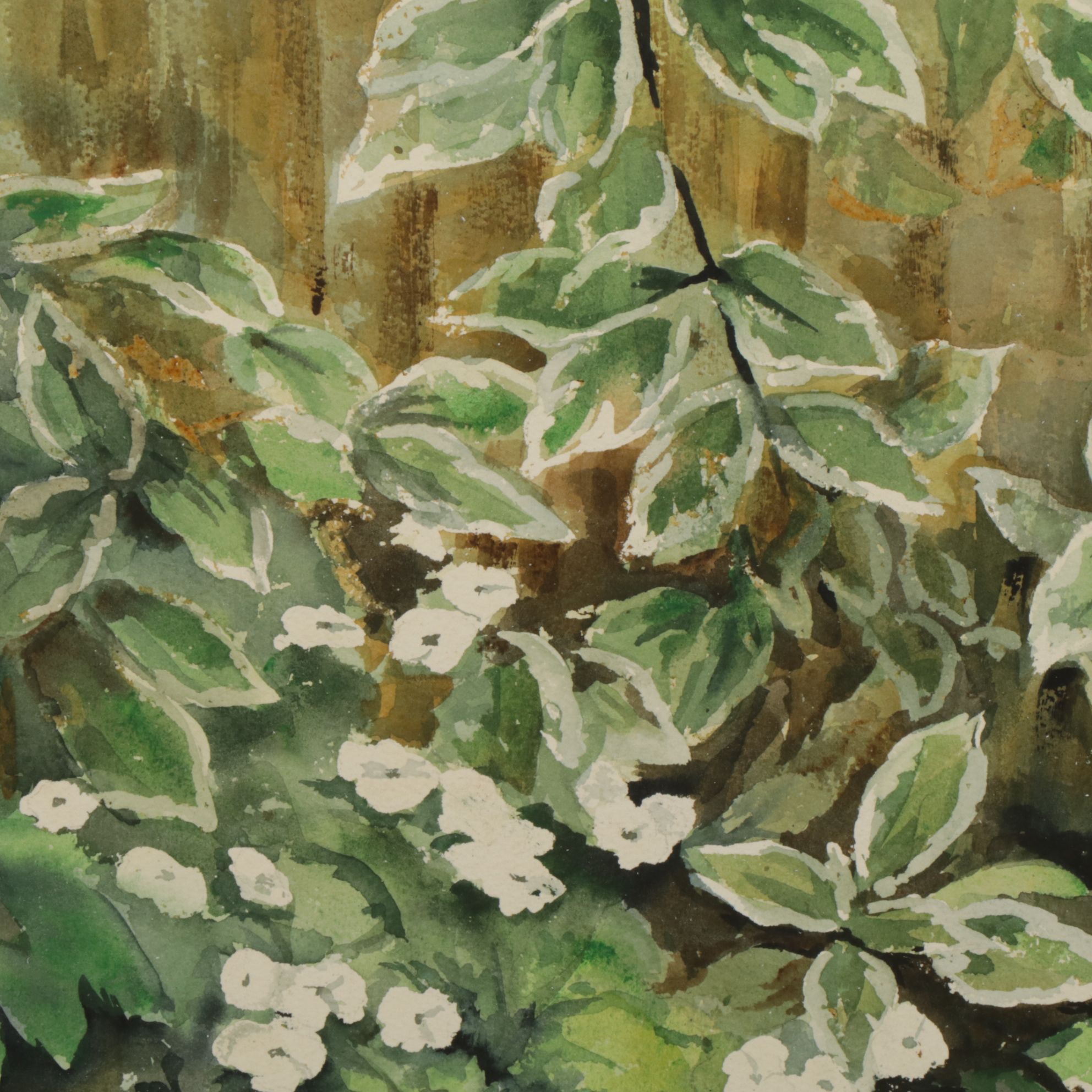 Botanical Still Life Watercolor Painting of Wild Garden Flora, 1974