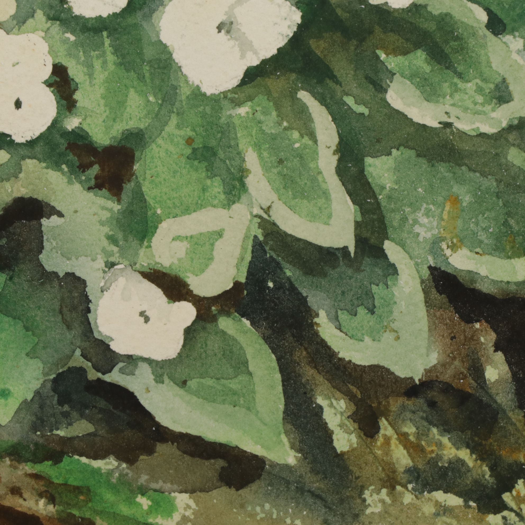 Botanical Still Life Watercolor Painting of Wild Garden Flora, 1974