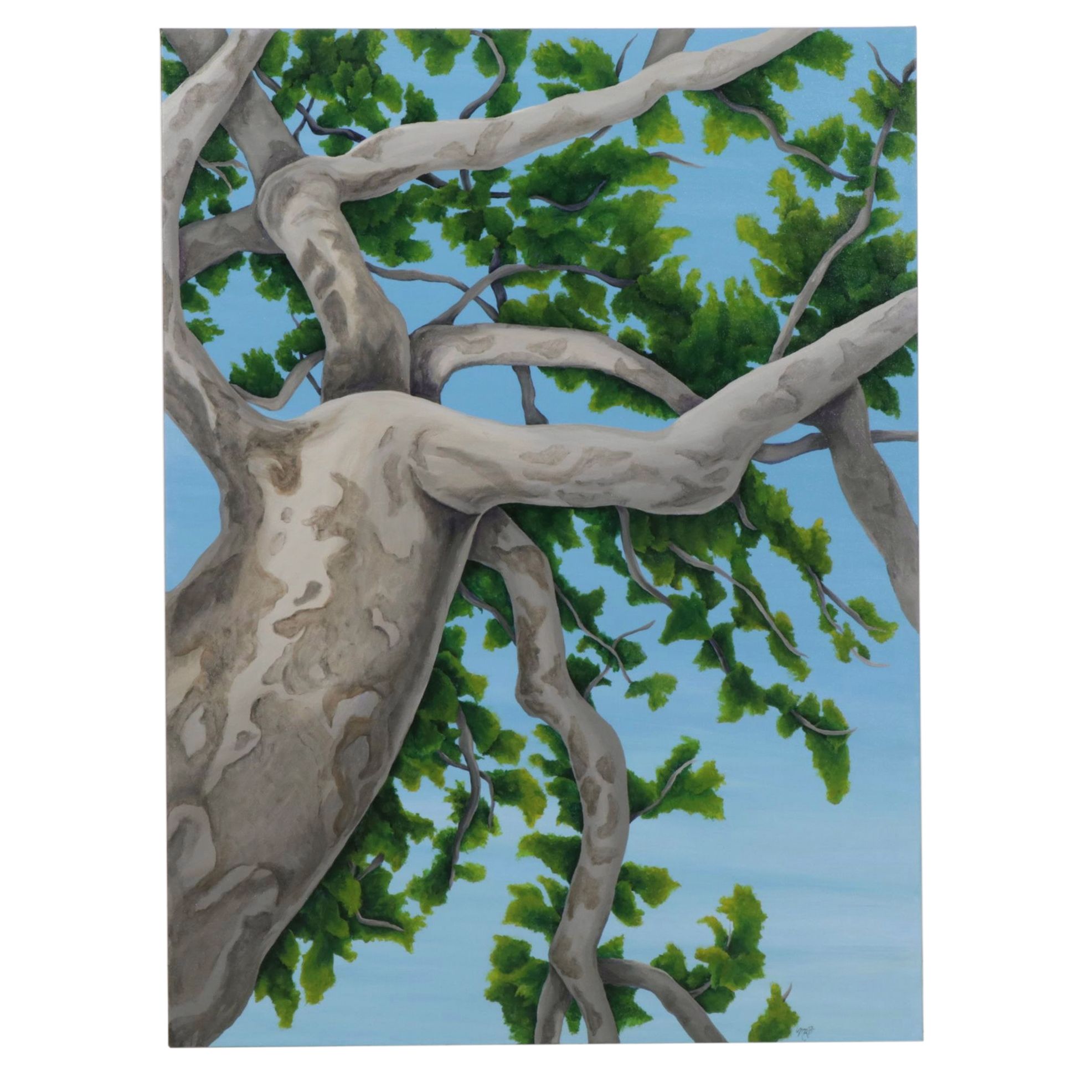 Hyper-Realistic Acrylic Painting of Tree Top and Branches, Early 21st Century