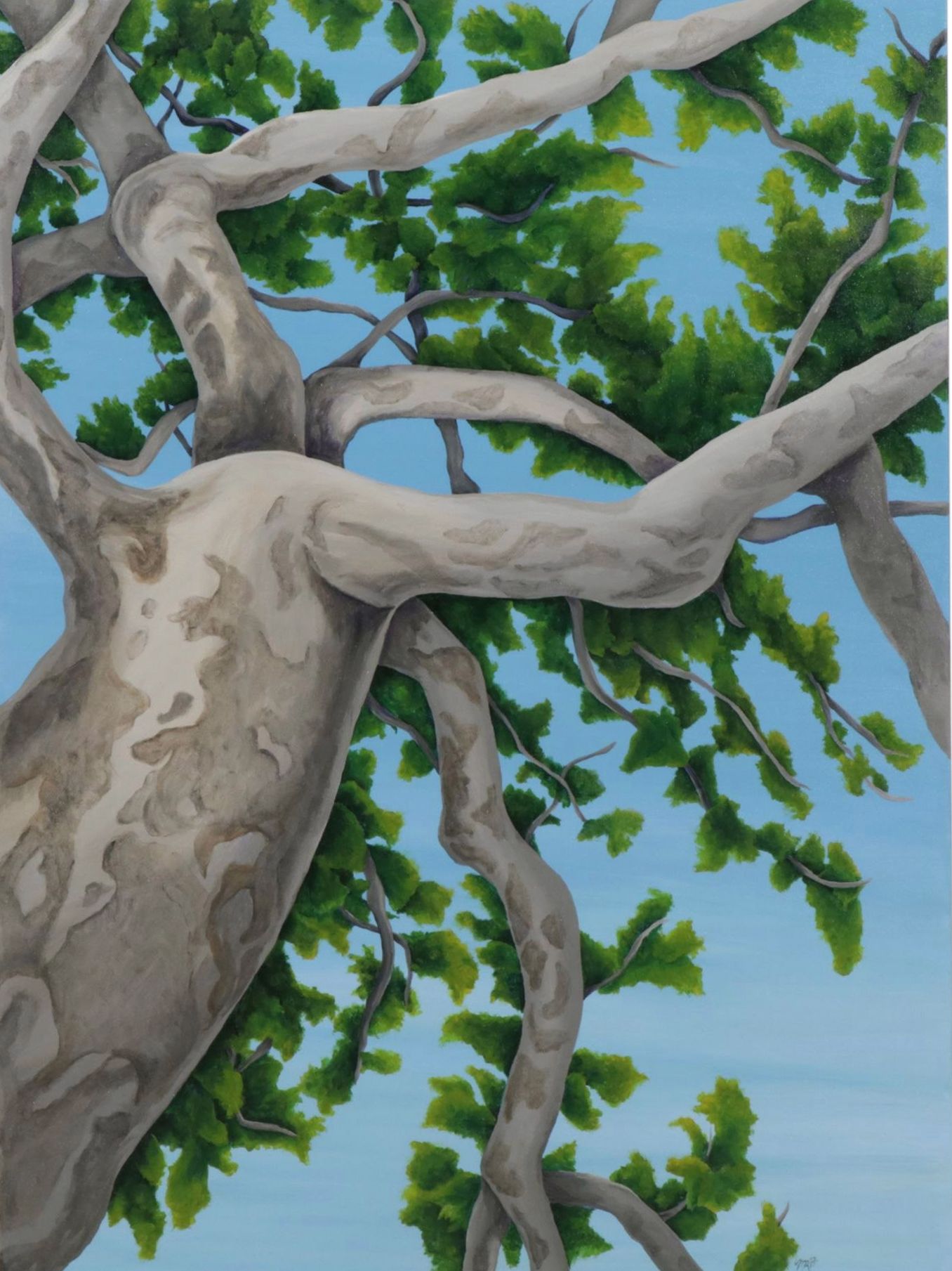 Hyper-Realistic Acrylic Painting of Tree Top and Branches, Early 21st Century