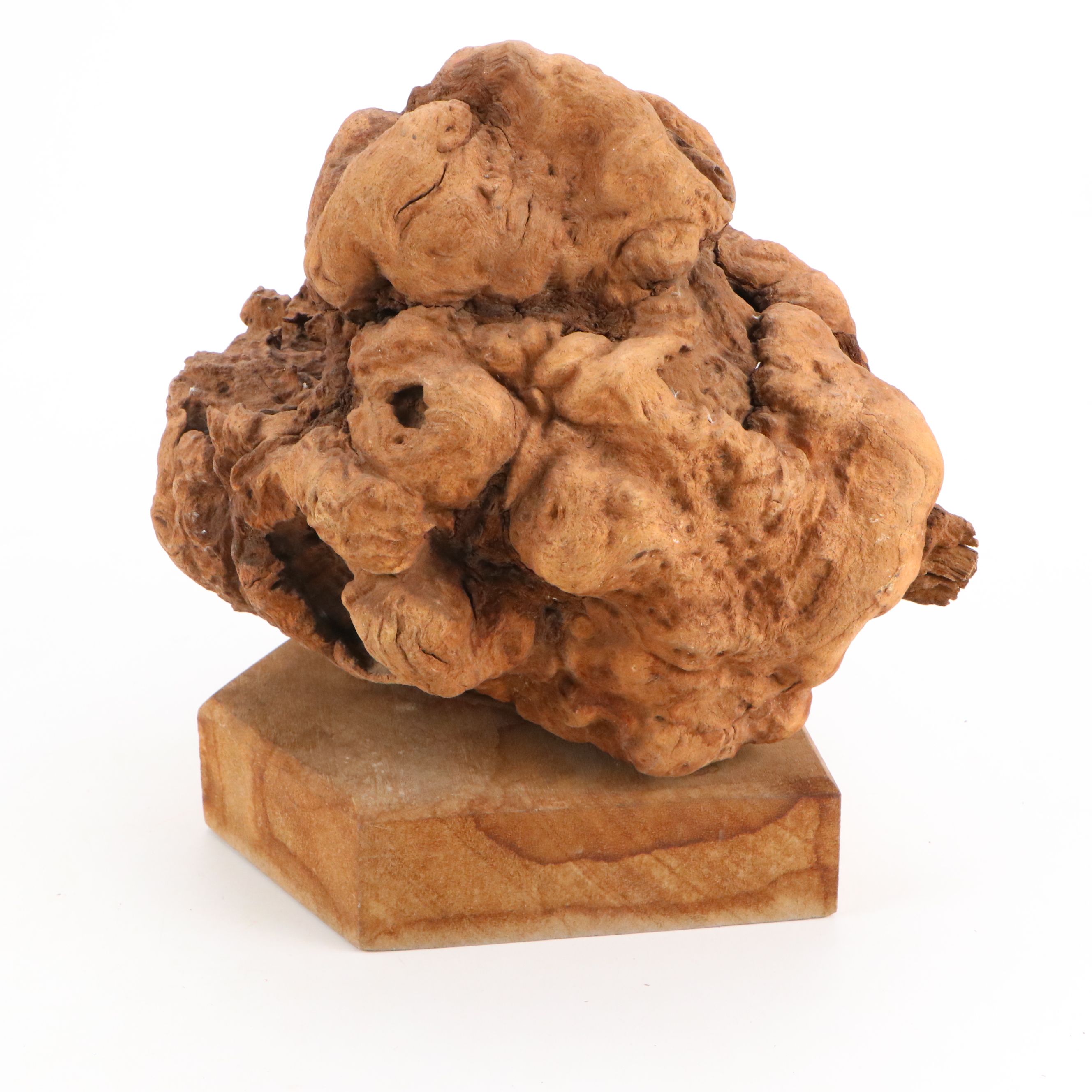 Natural Finish Burl Wood Sculpture
