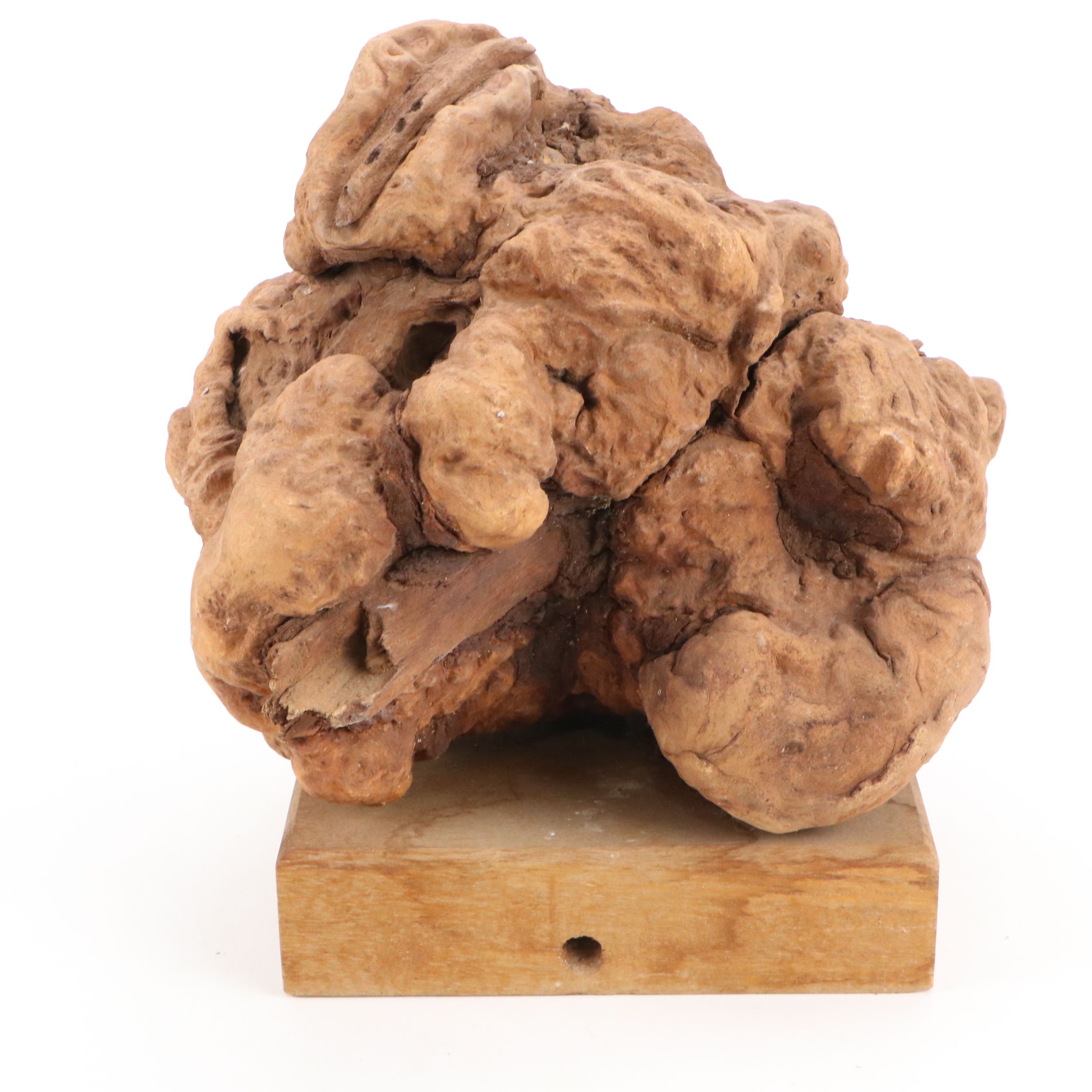 Natural Finish Burl Wood Sculpture