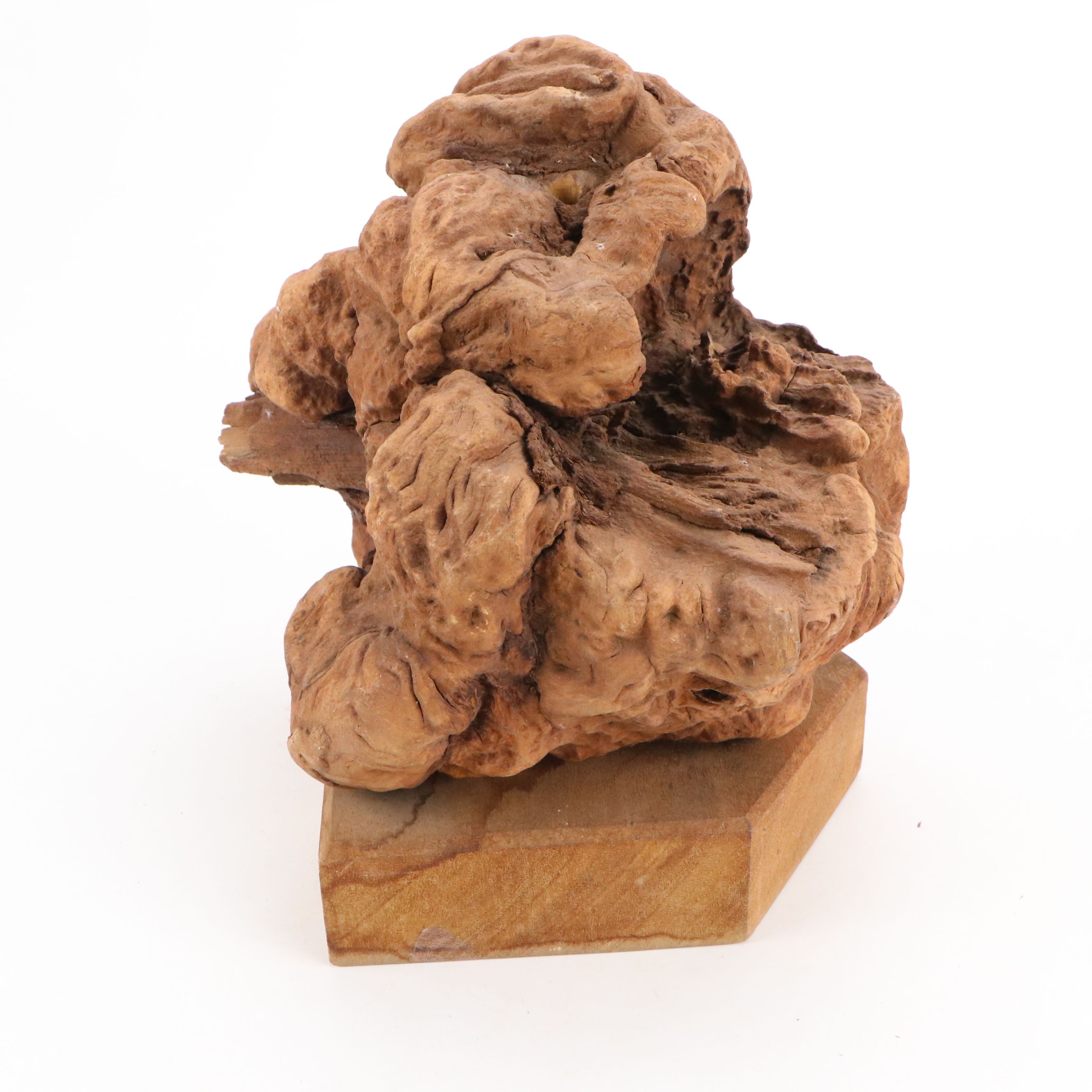 Natural Finish Burl Wood Sculpture