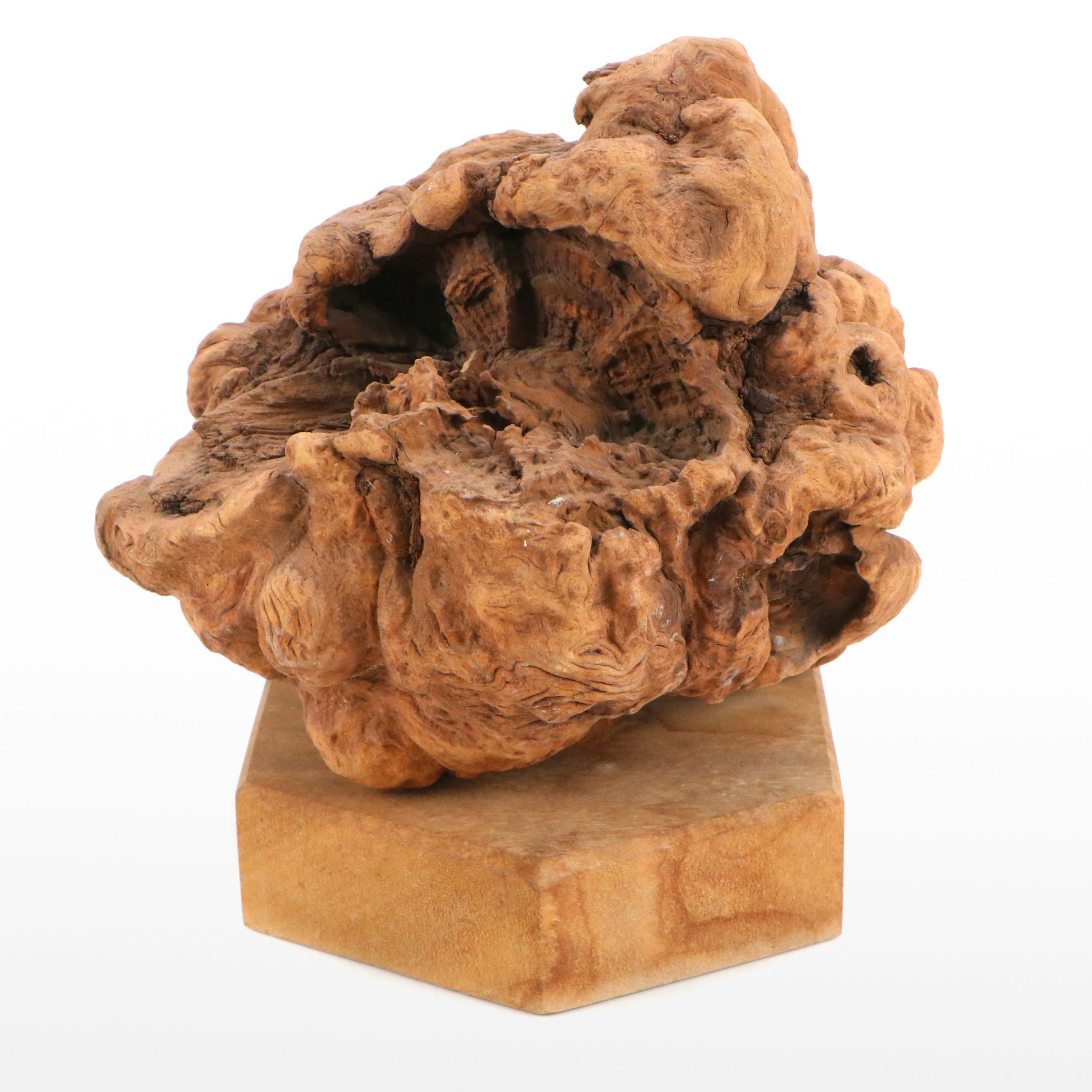 Natural Finish Burl Wood Sculpture
