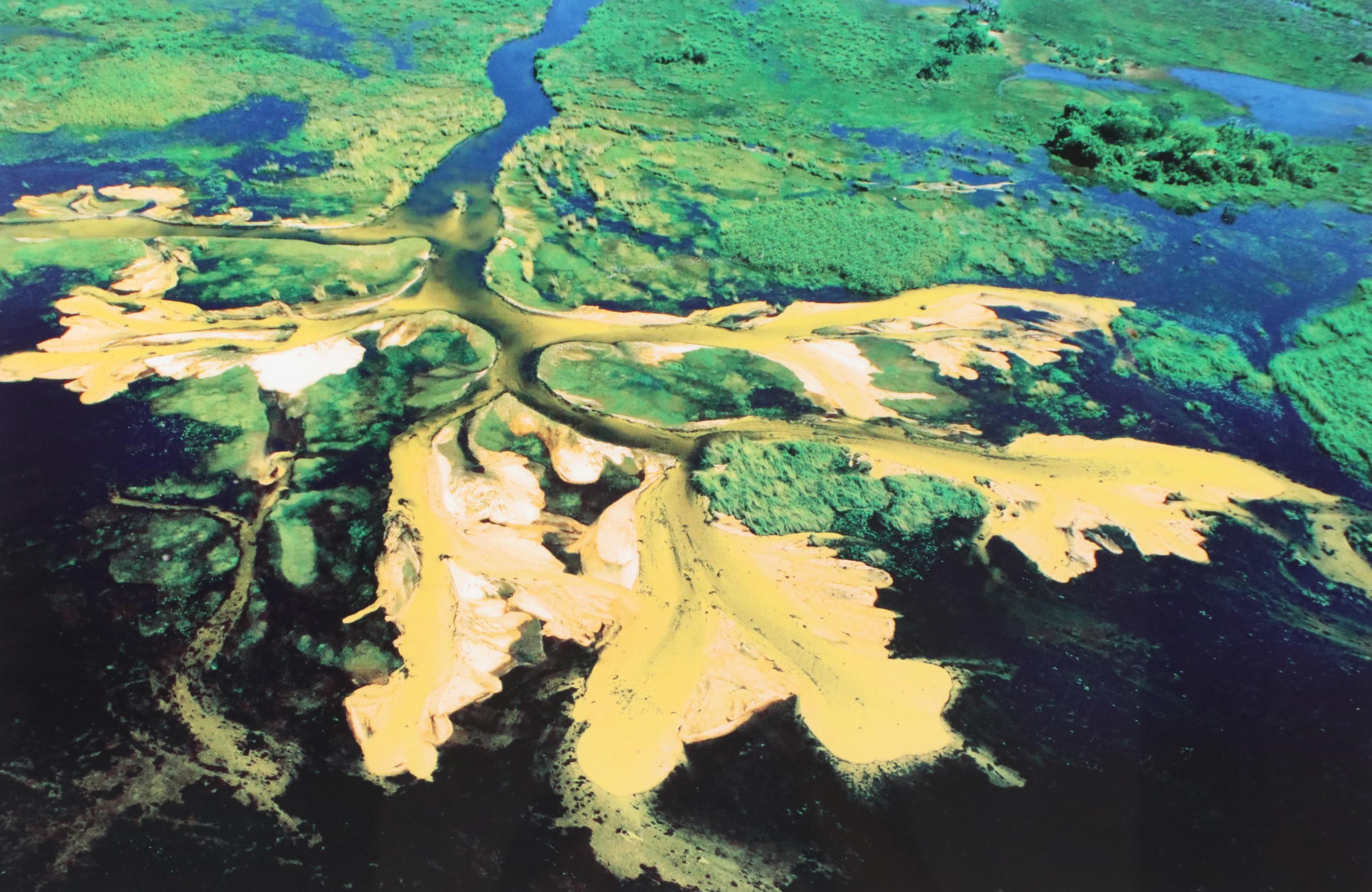 Howard Ruby Aerial Halftone Photography Print "Okavango Delta," 21st Century