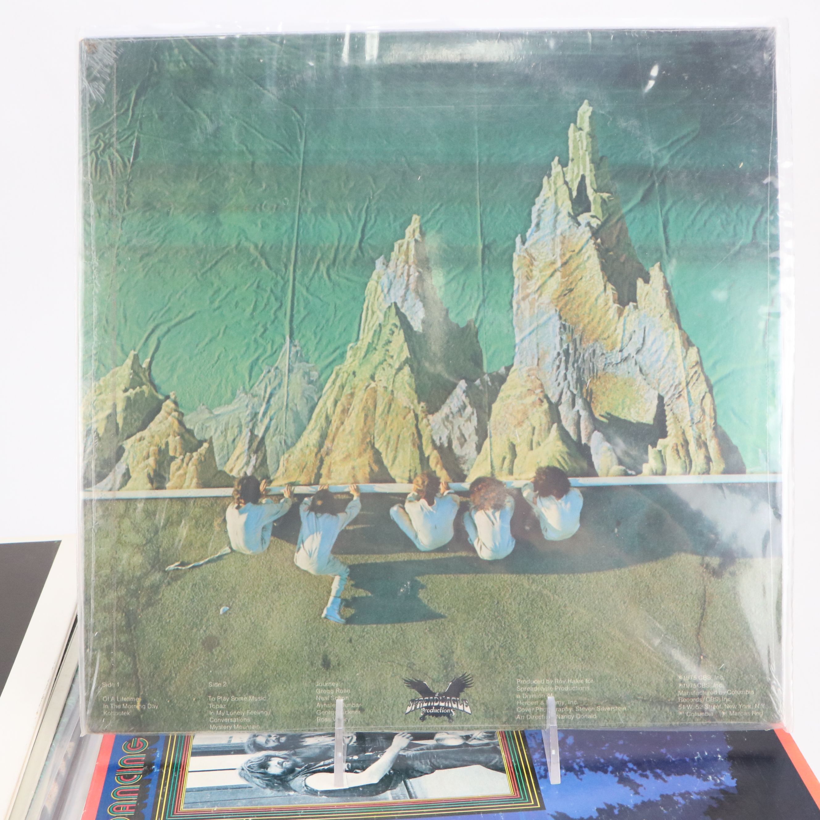 David Bowie, Pink Floyd, Elton John, and More Vinyl Record Albums