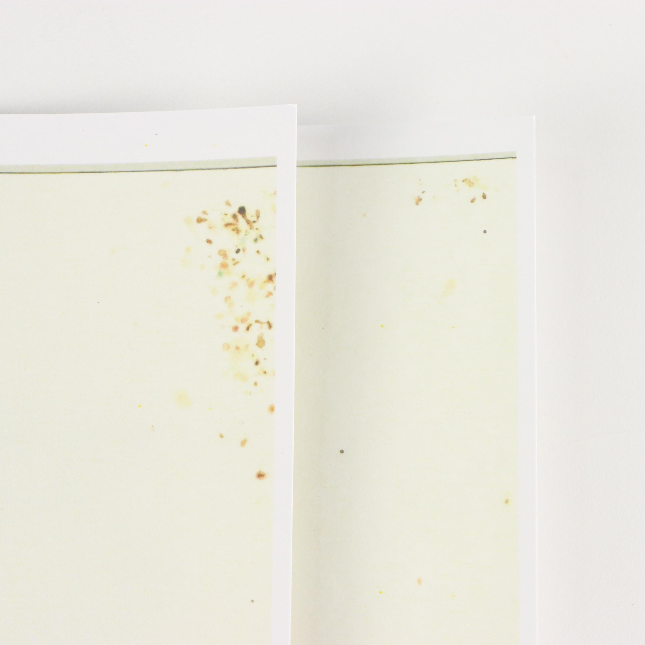 The Beatles Crosley Field Cincinnati Concert Reproduction Posters