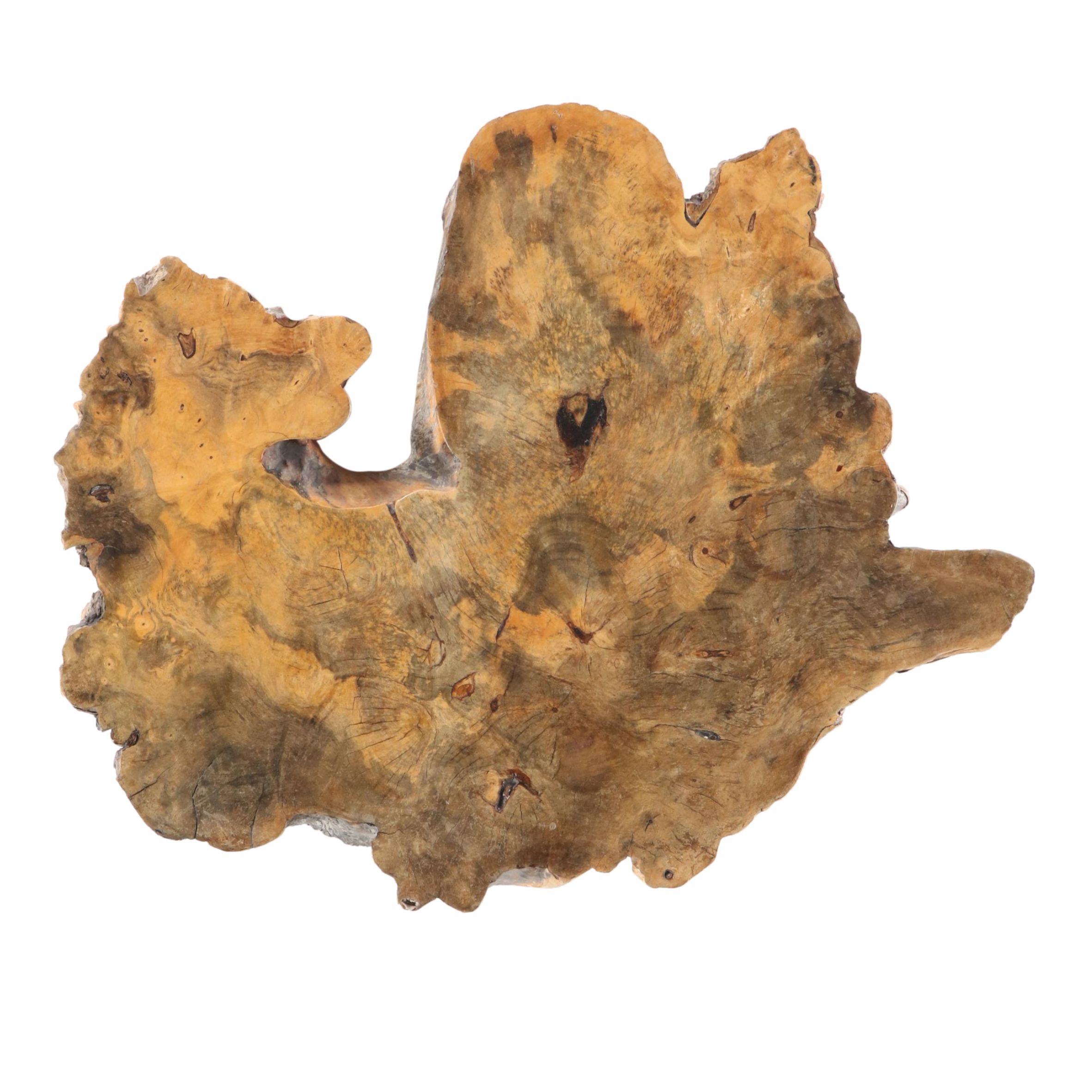 Burl Wood Slab